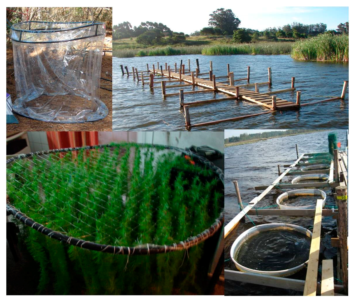 Water 09 00514 g001 550