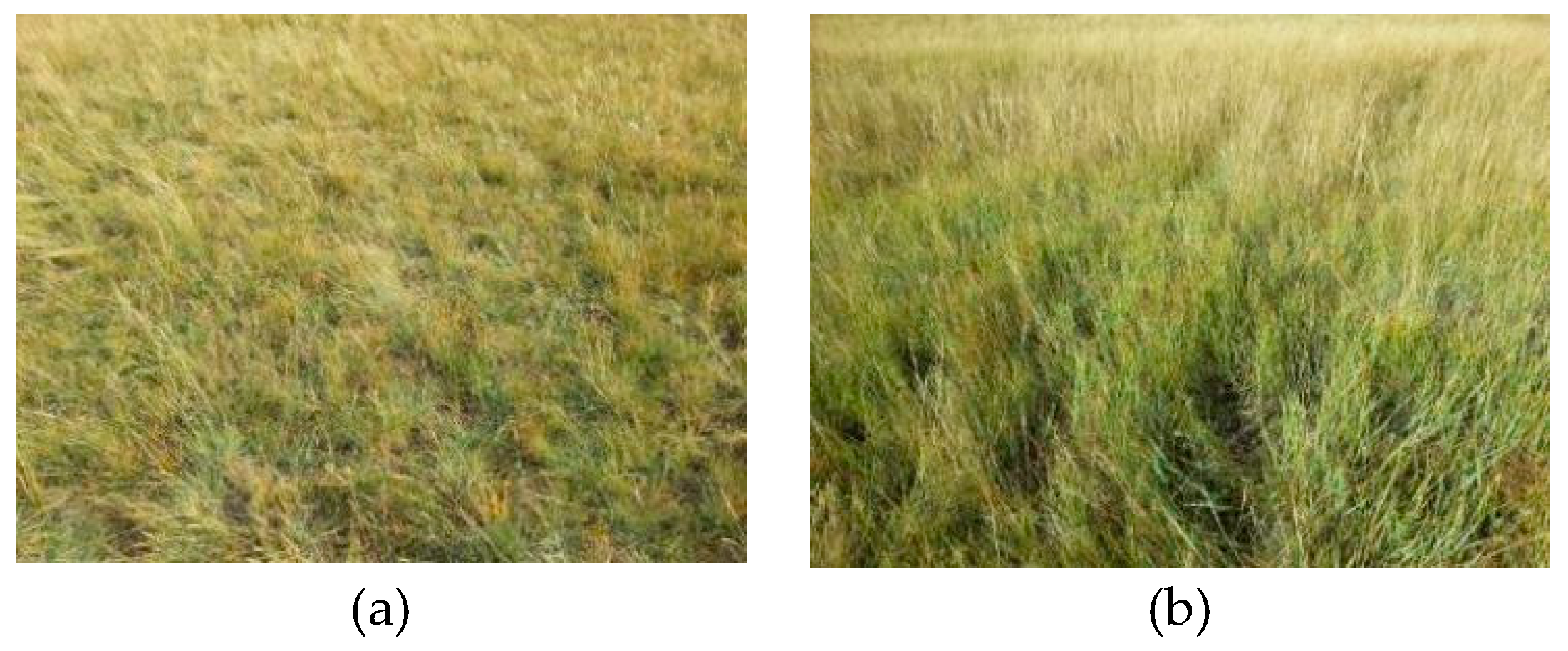 Water 09 00521 g008 Water 09 00521 g008