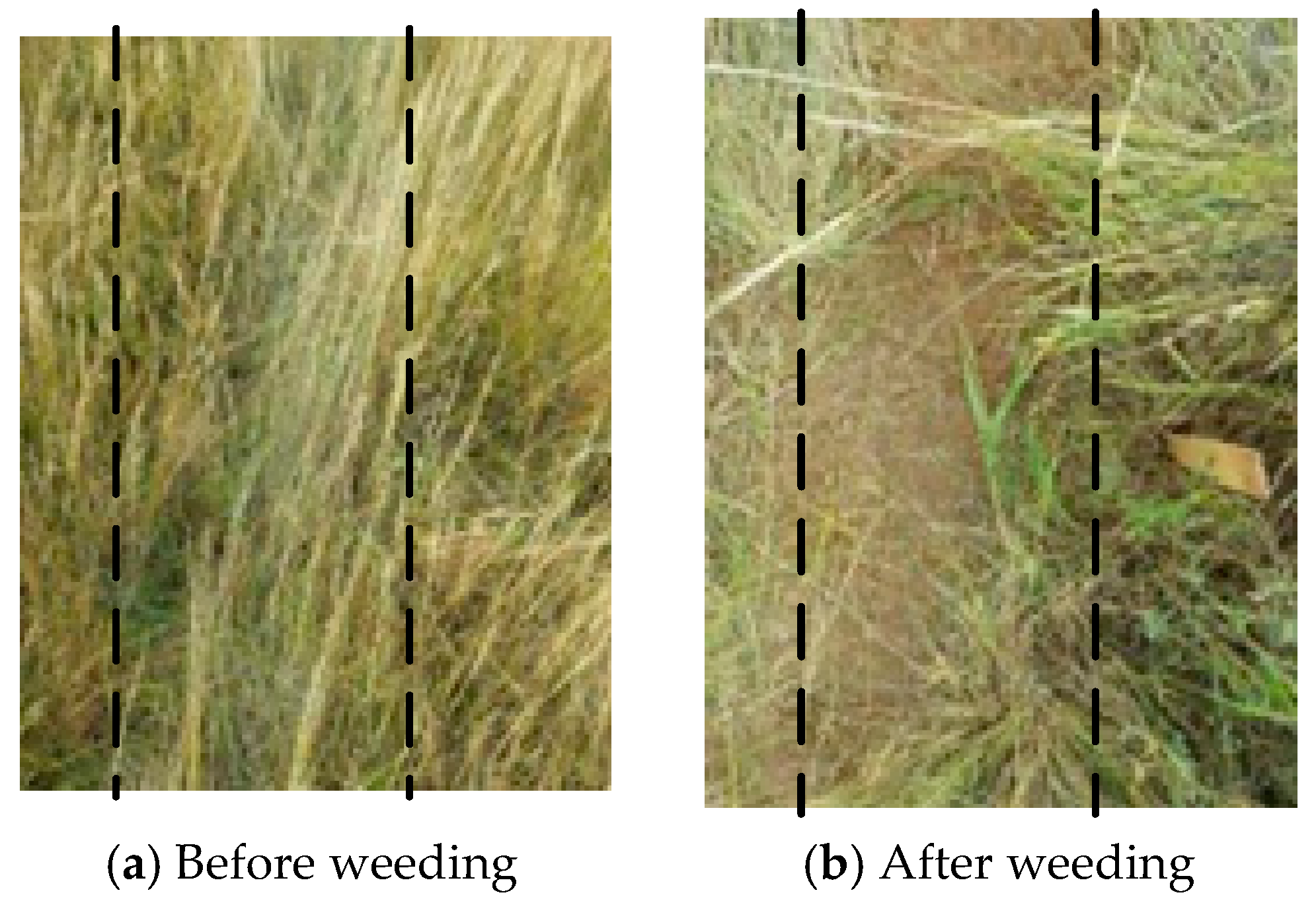 Water 09 00521 g010 Water 09 00521 g010