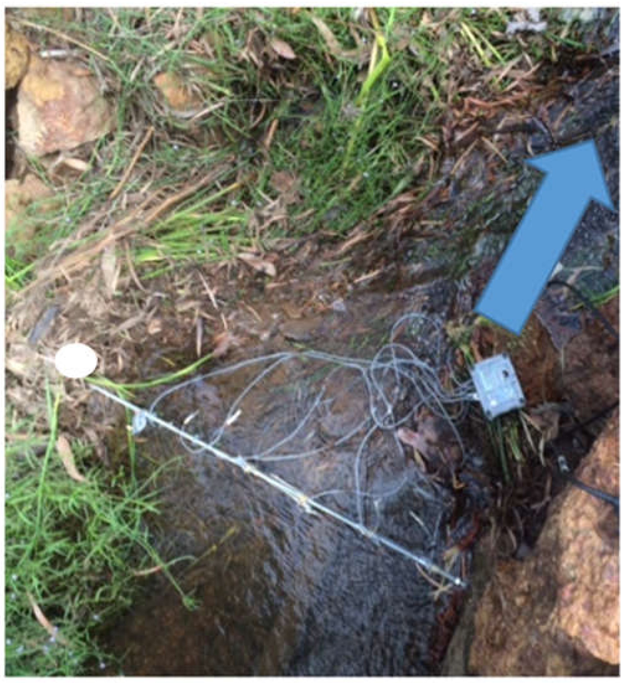 Water 09 00542 g003 550