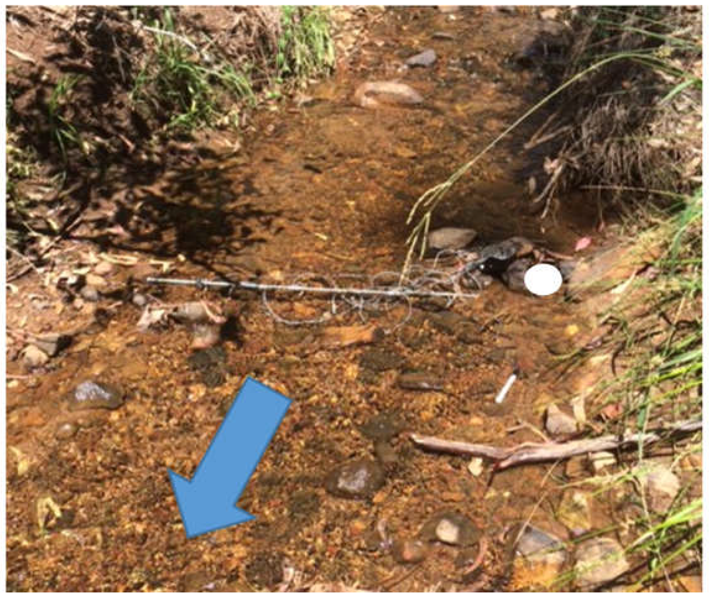 Water 09 00542 g005 550