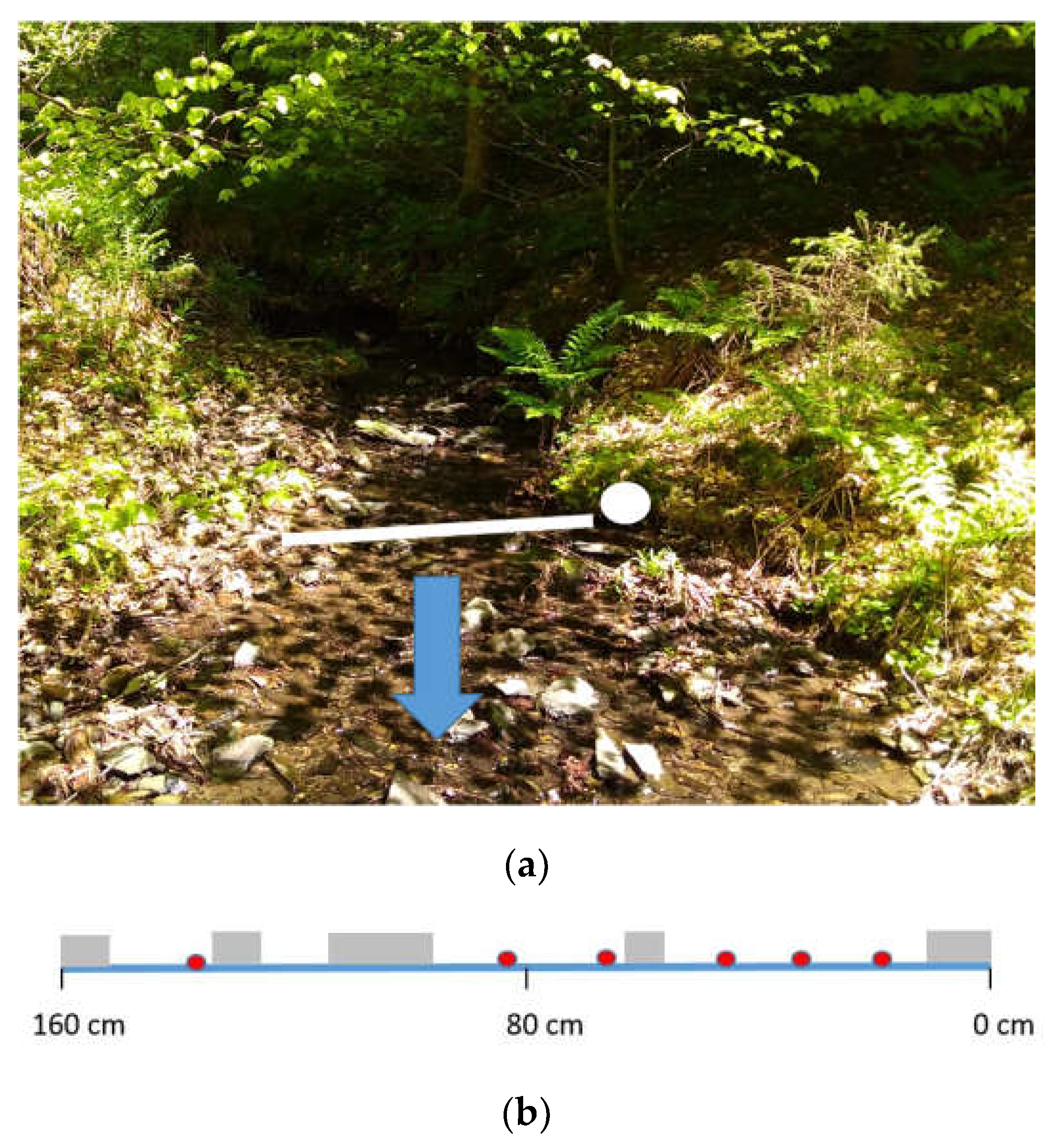 Water 09 00542 g007 550