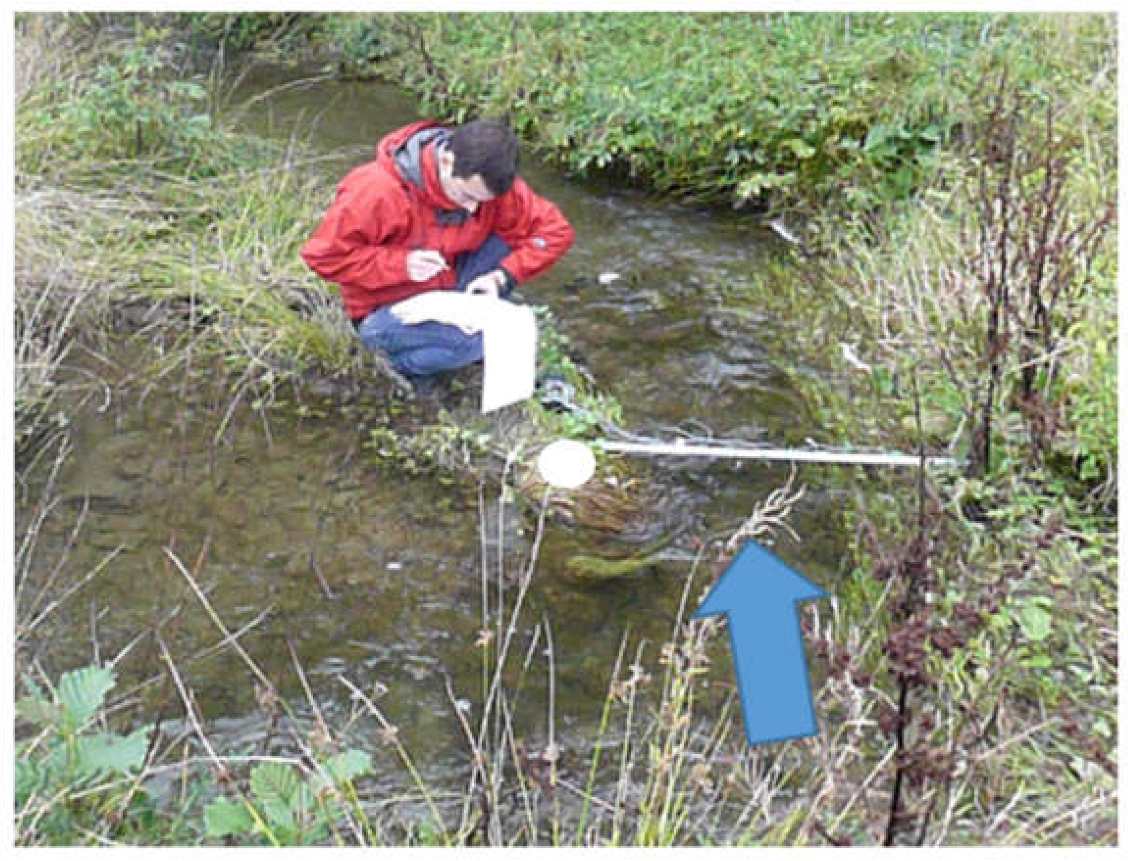 Water 09 00542 g009 550