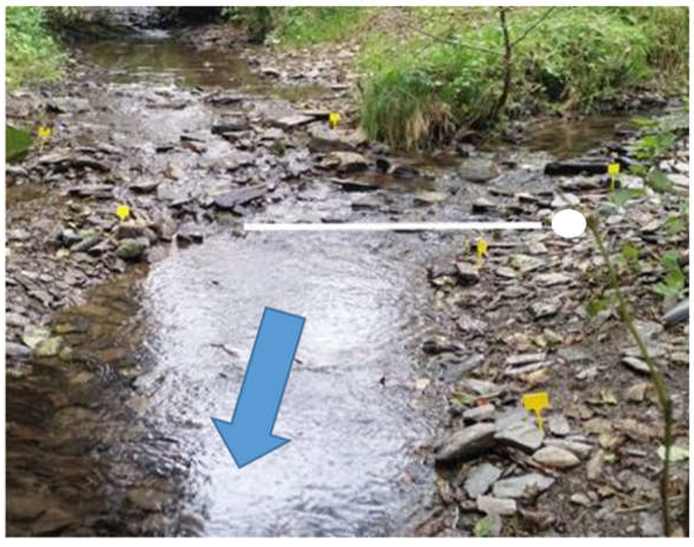 Water 09 00542 g011 550