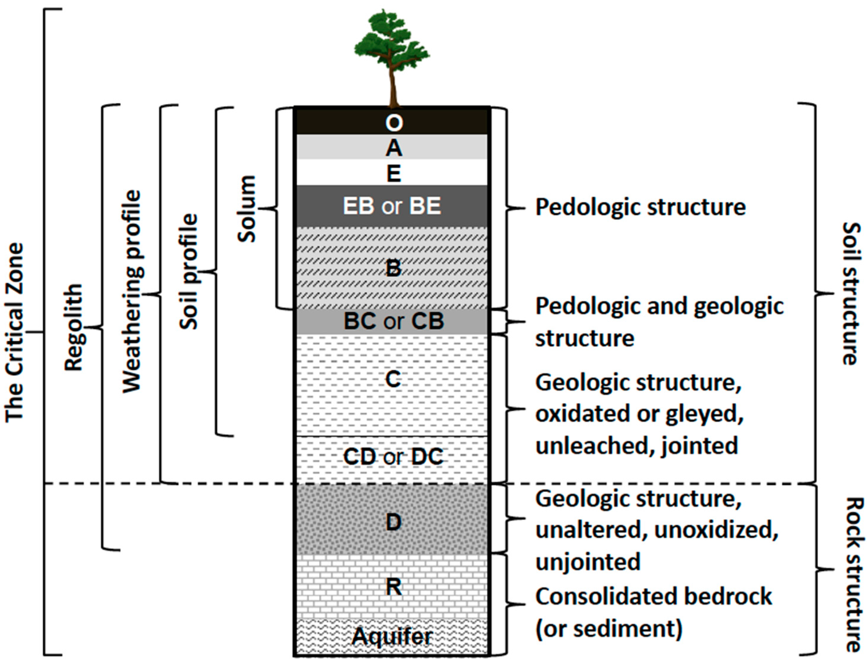 Water 09 00645 g001 550