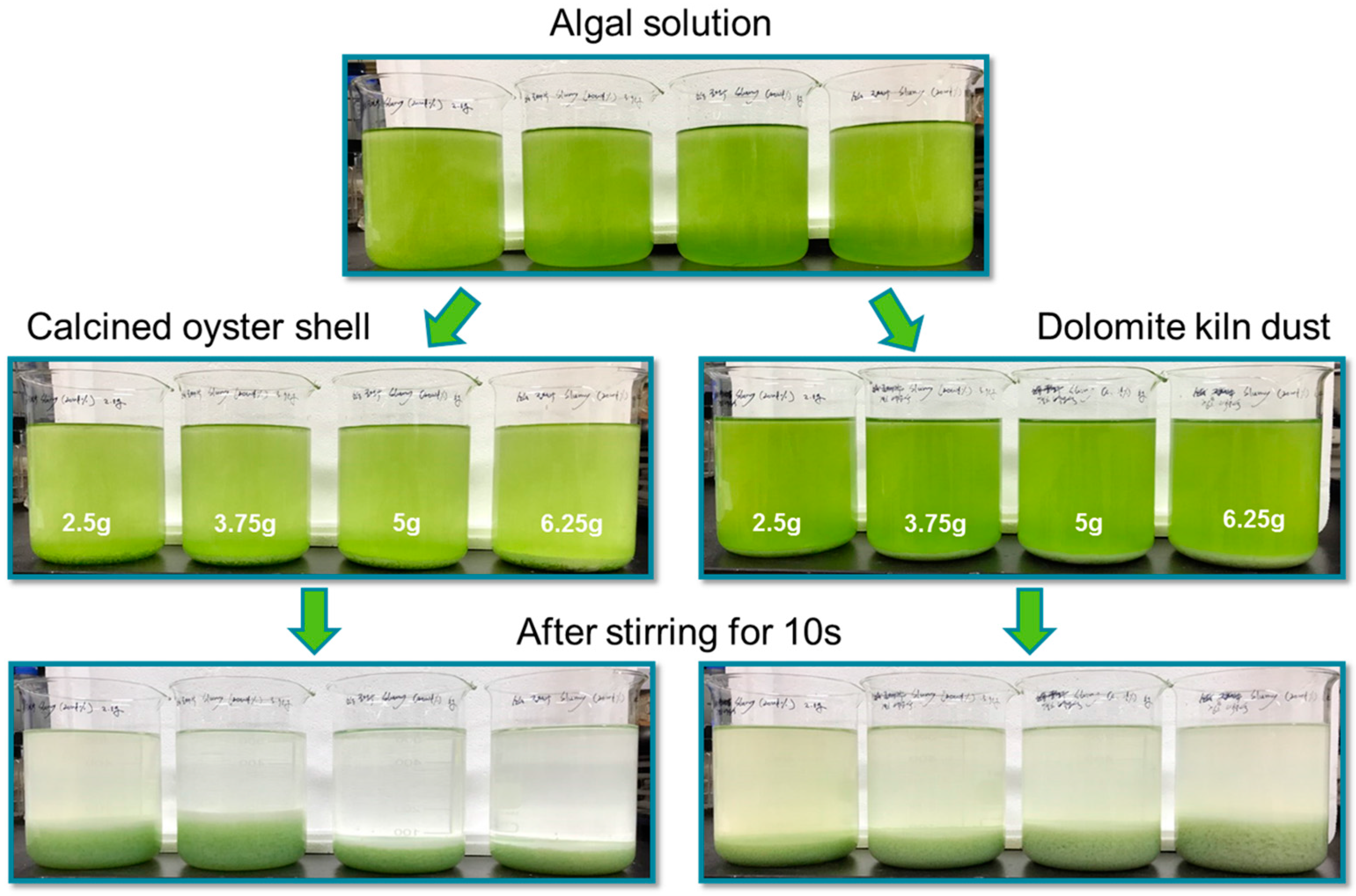 Water Free FullText Effect by Alkaline Flocculation of Algae and