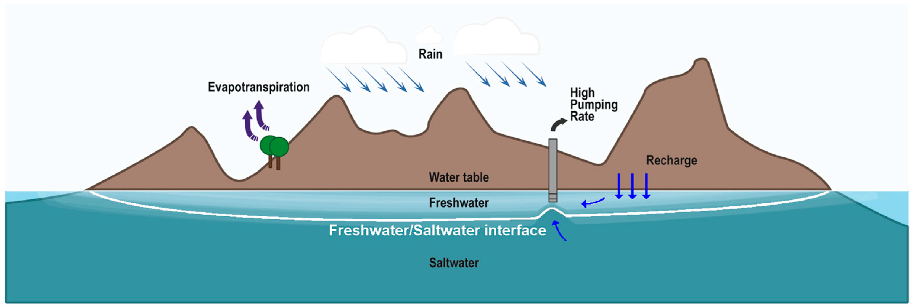 Water 09 00788 g001