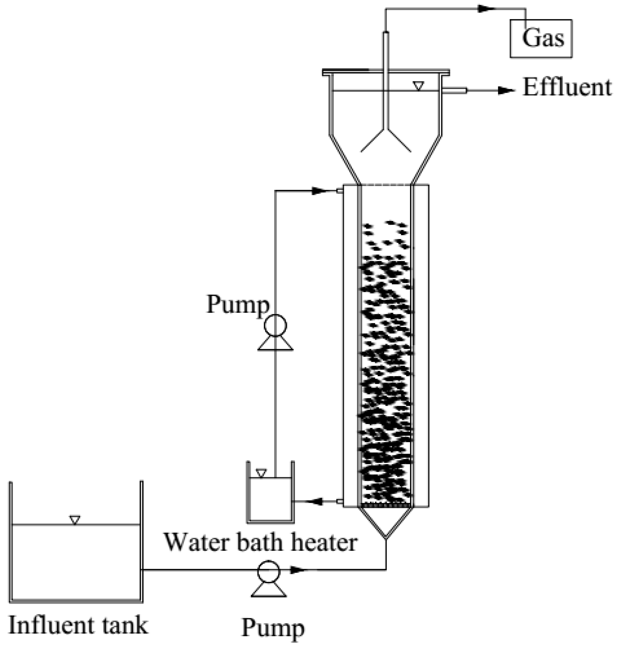 Characterization of a Microbial Community in an Anammox