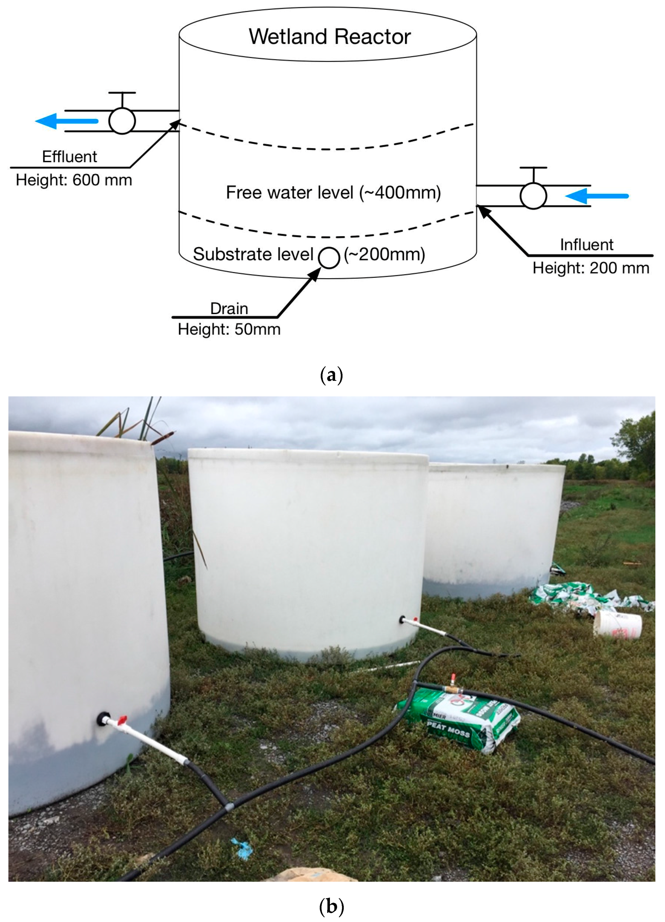 Water Free FullText Peat as Substrate for SmallScale Constructed