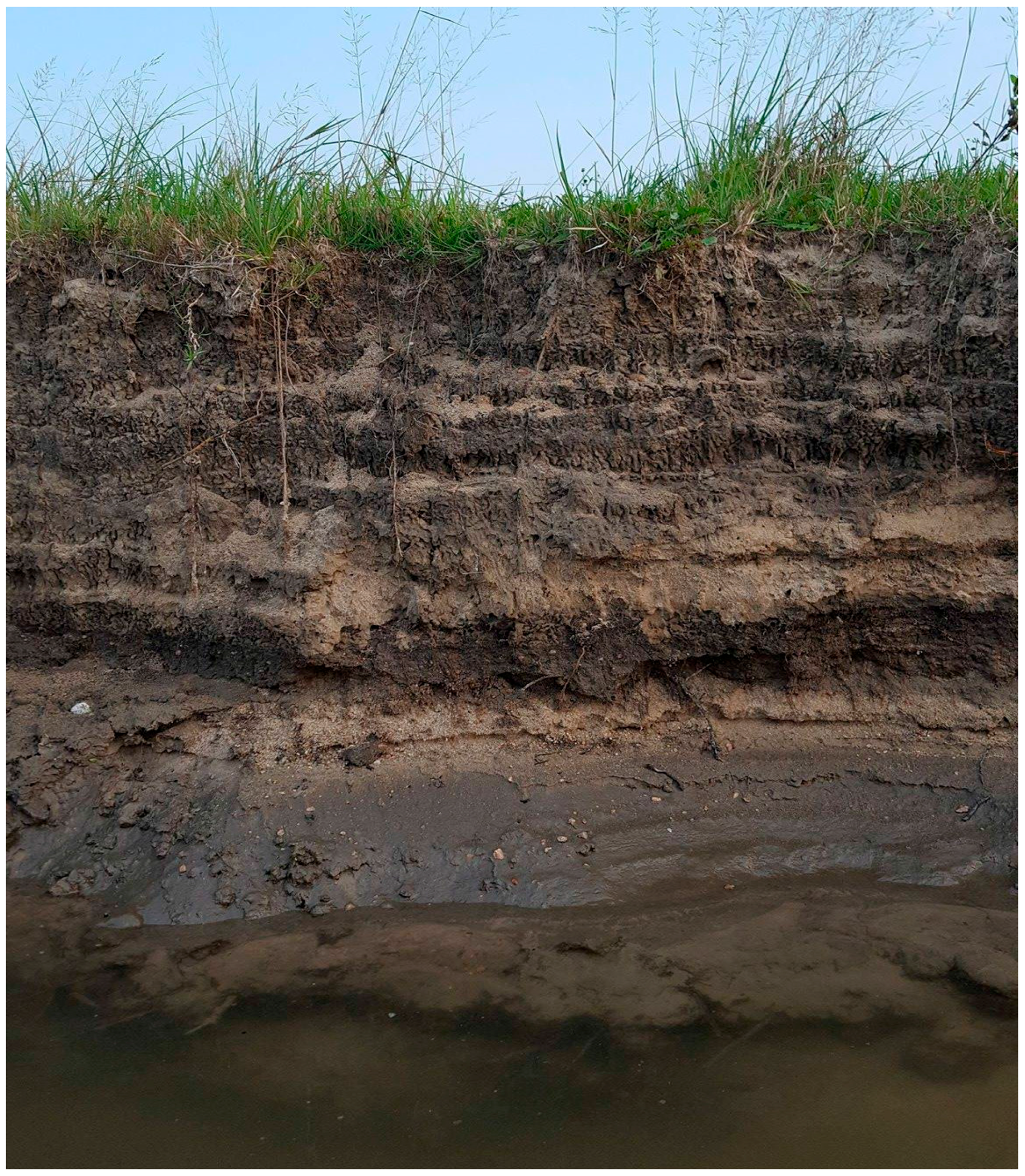 Water 09 00930 g002 550