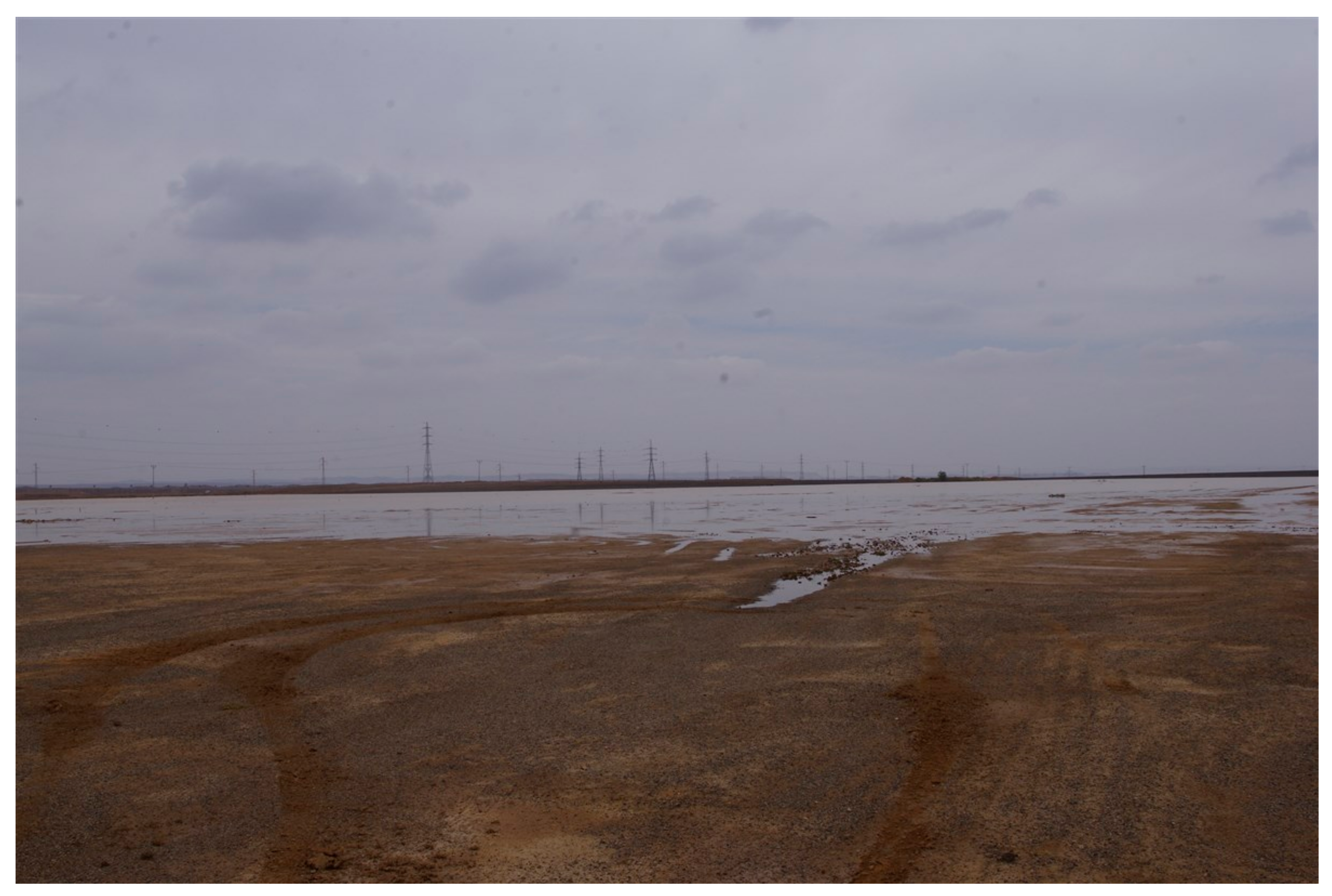 Water 09 00991 g003