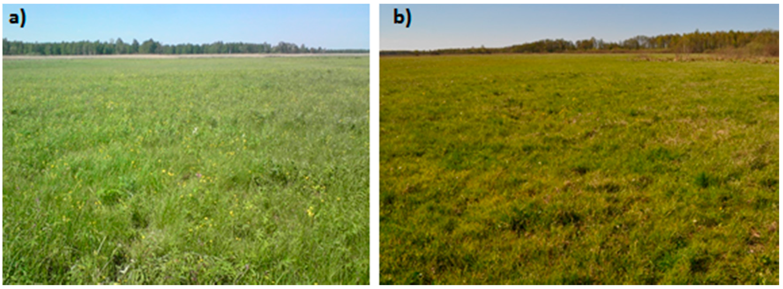 Water 10 00041 g002 550