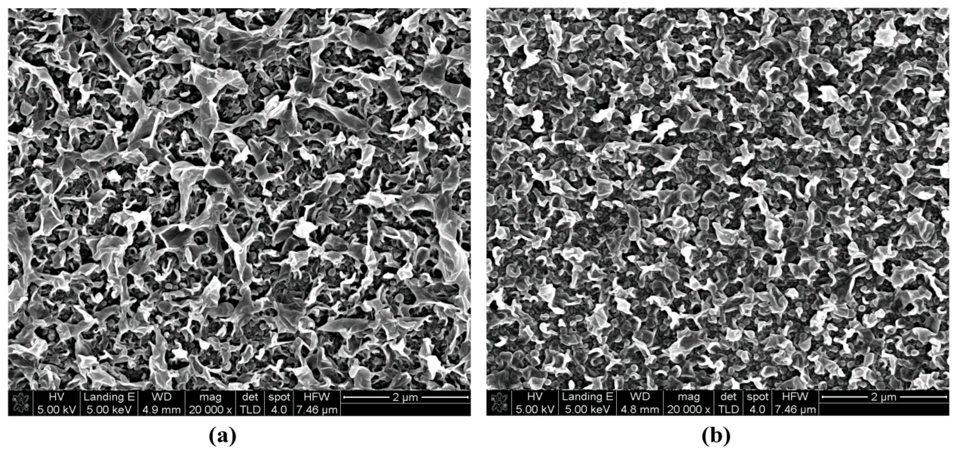 Water 10 00093 g005 Water 10 00093 g005