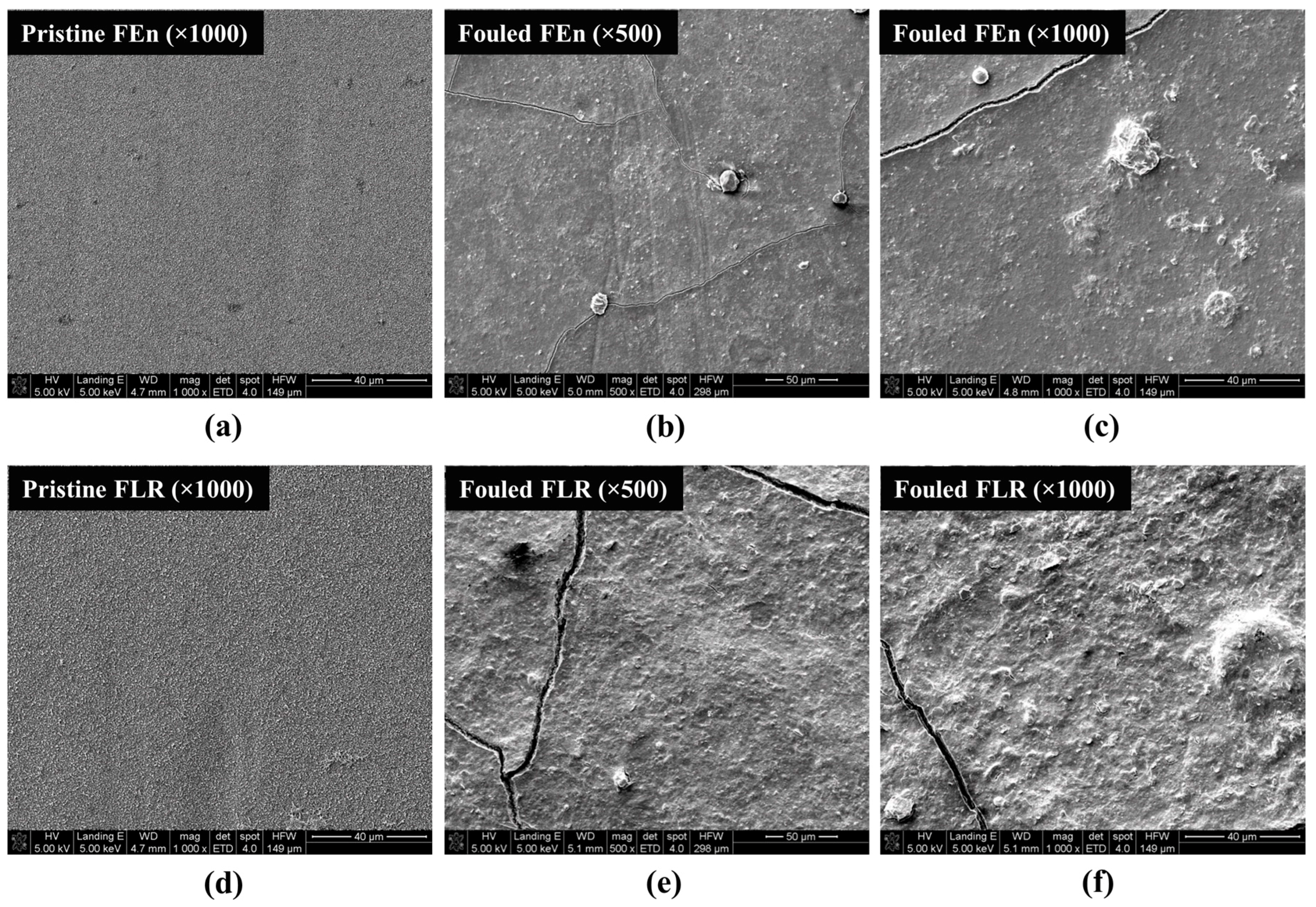 Water 10 00093 g011 Water 10 00093 g011