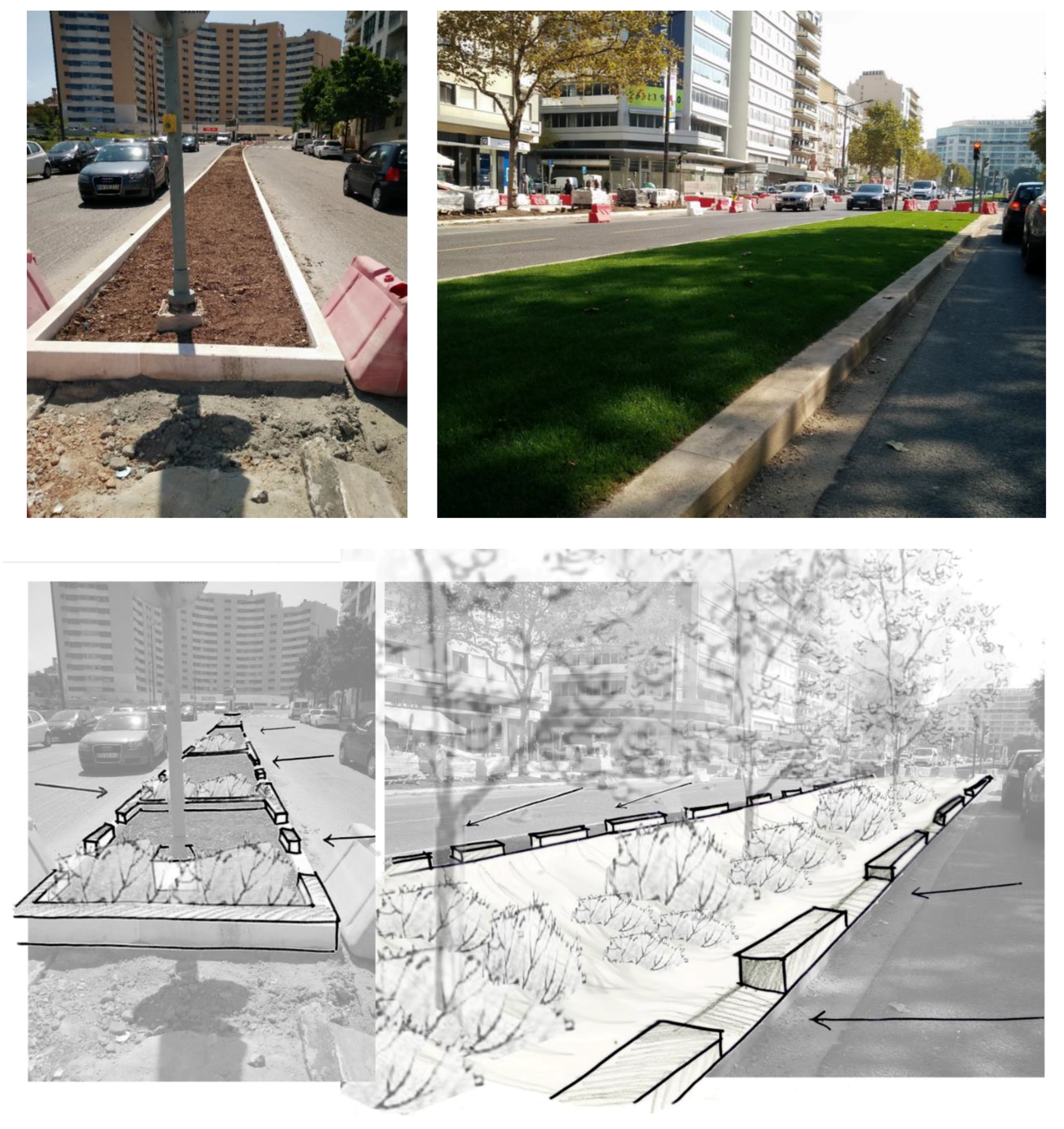 Water 10 00180 g004 550