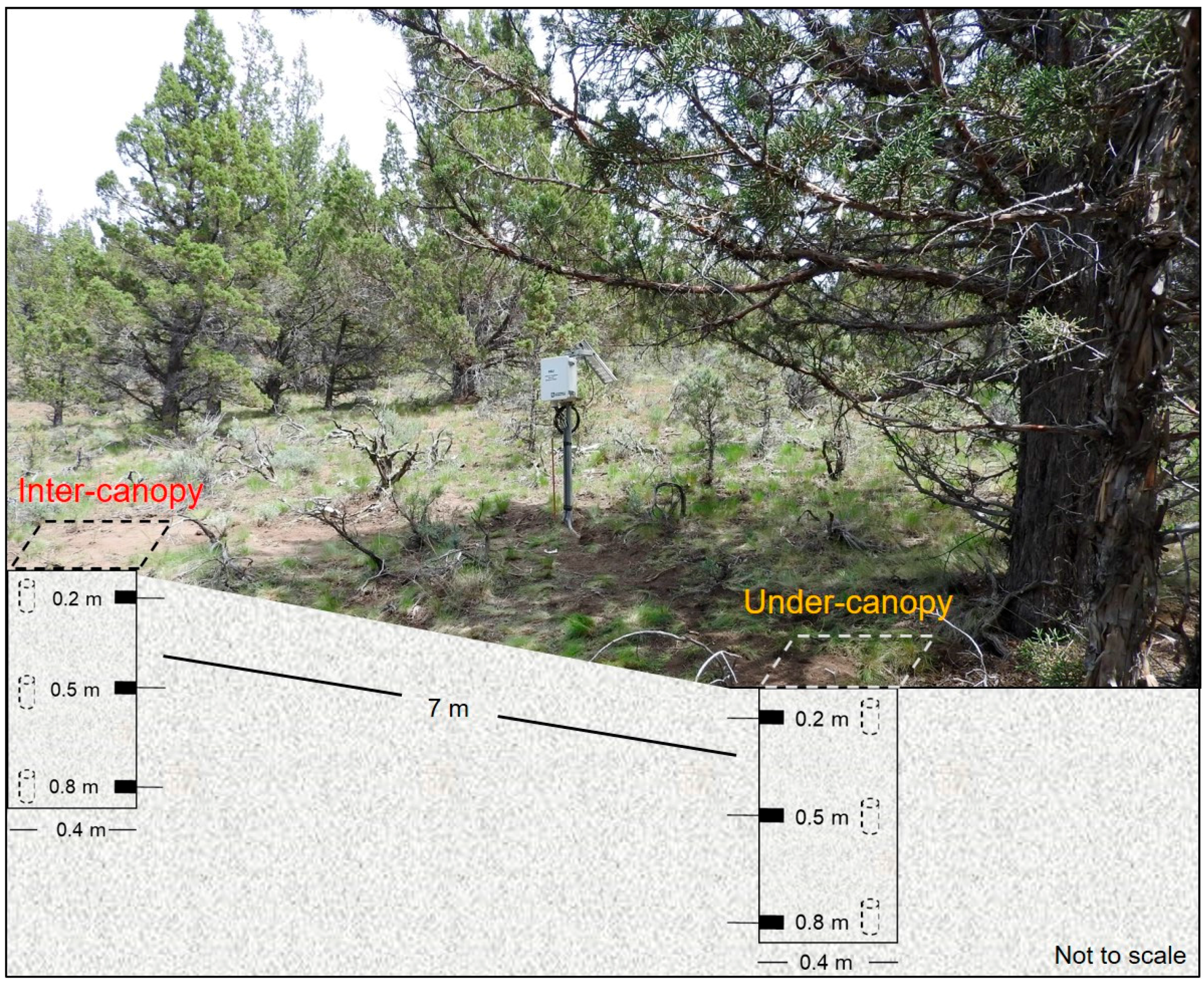 Water 10 00181 g002 Water 10 00181 g002