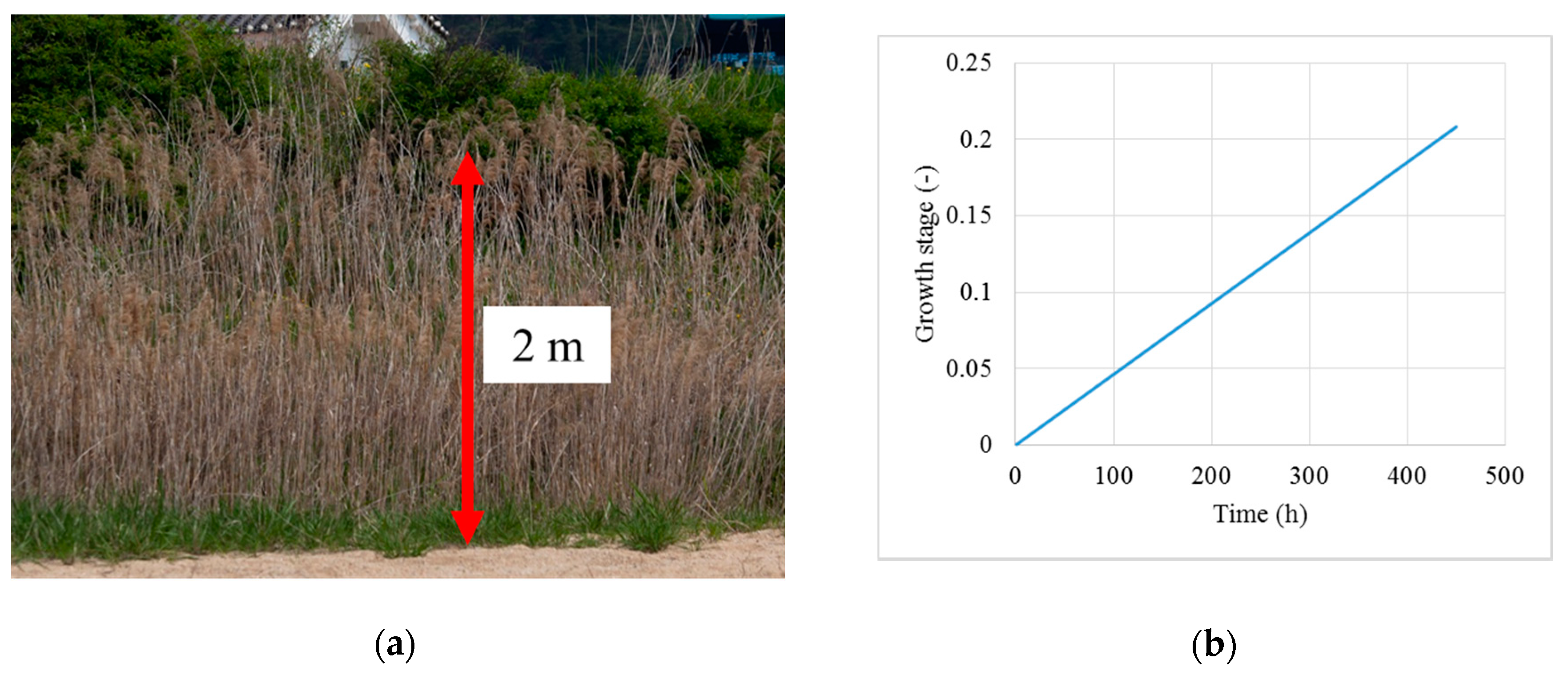 Water 10 00223 g002a