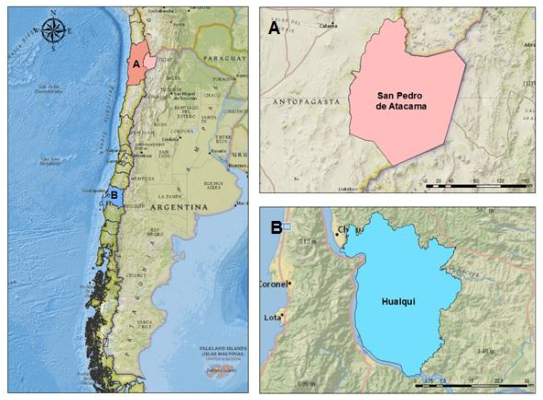 Water 10 00334 g001 550