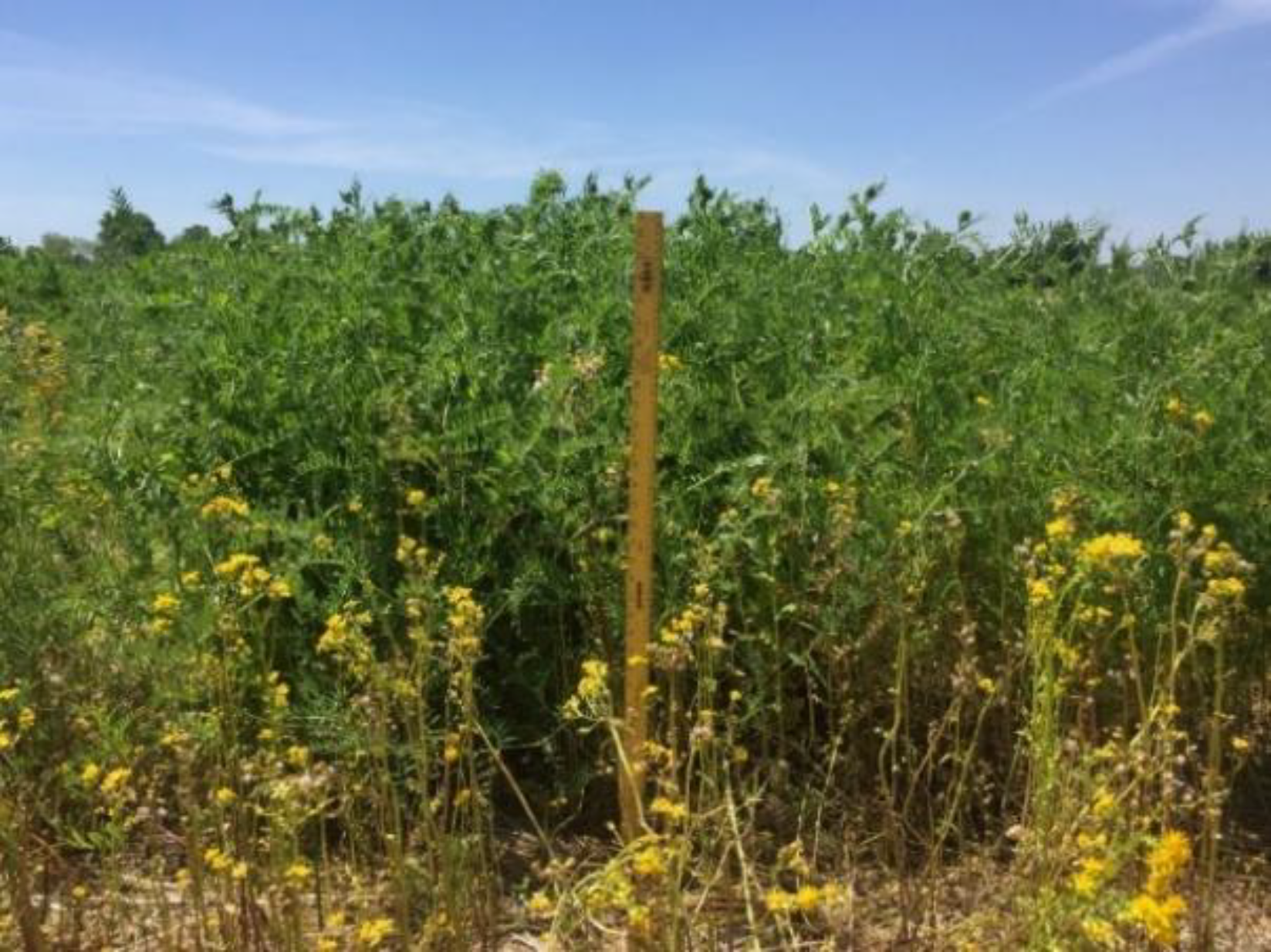 Water 10 00521 g003 550