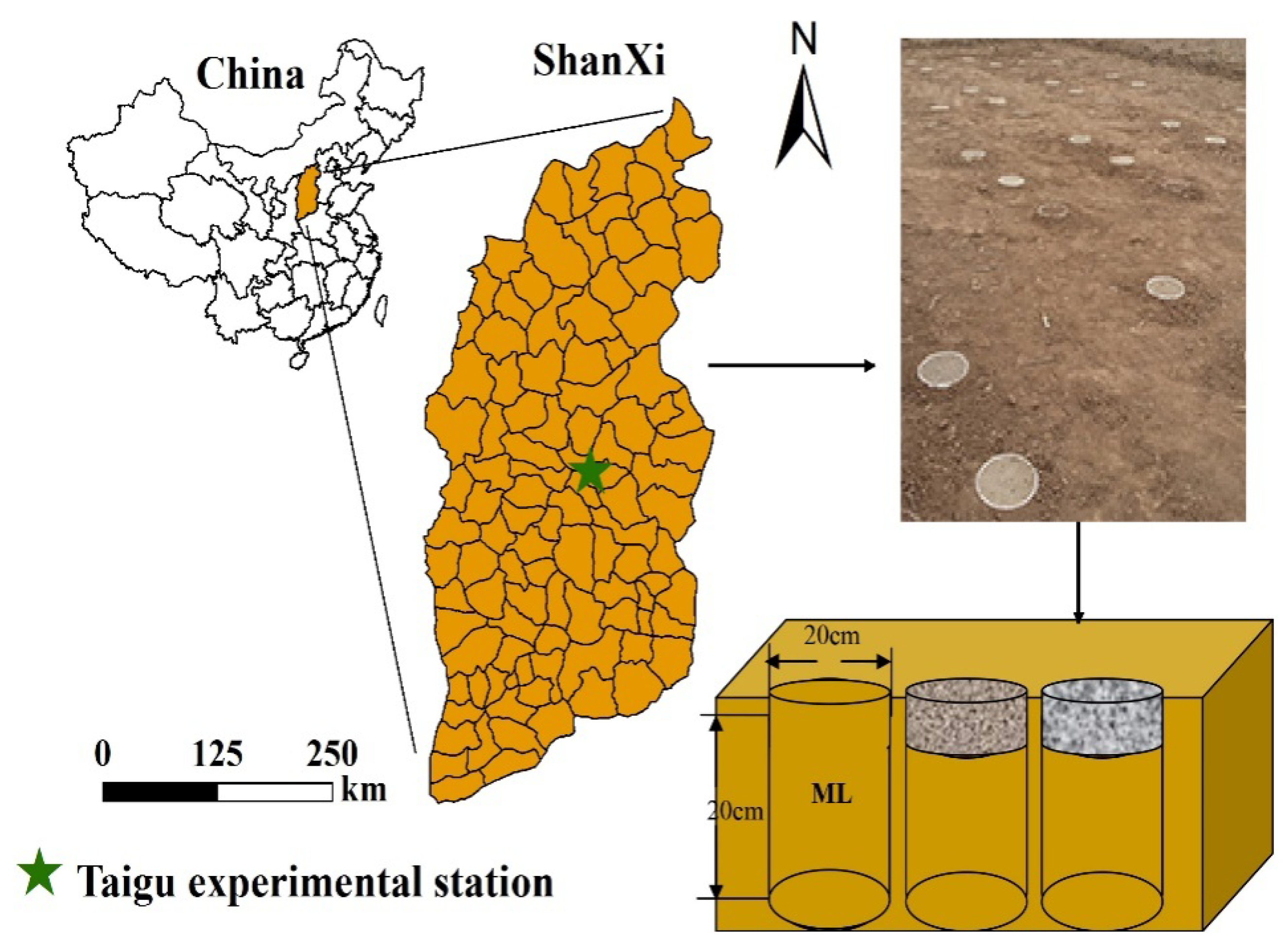 Water 10 00536 g001 Water 10 00536 g001