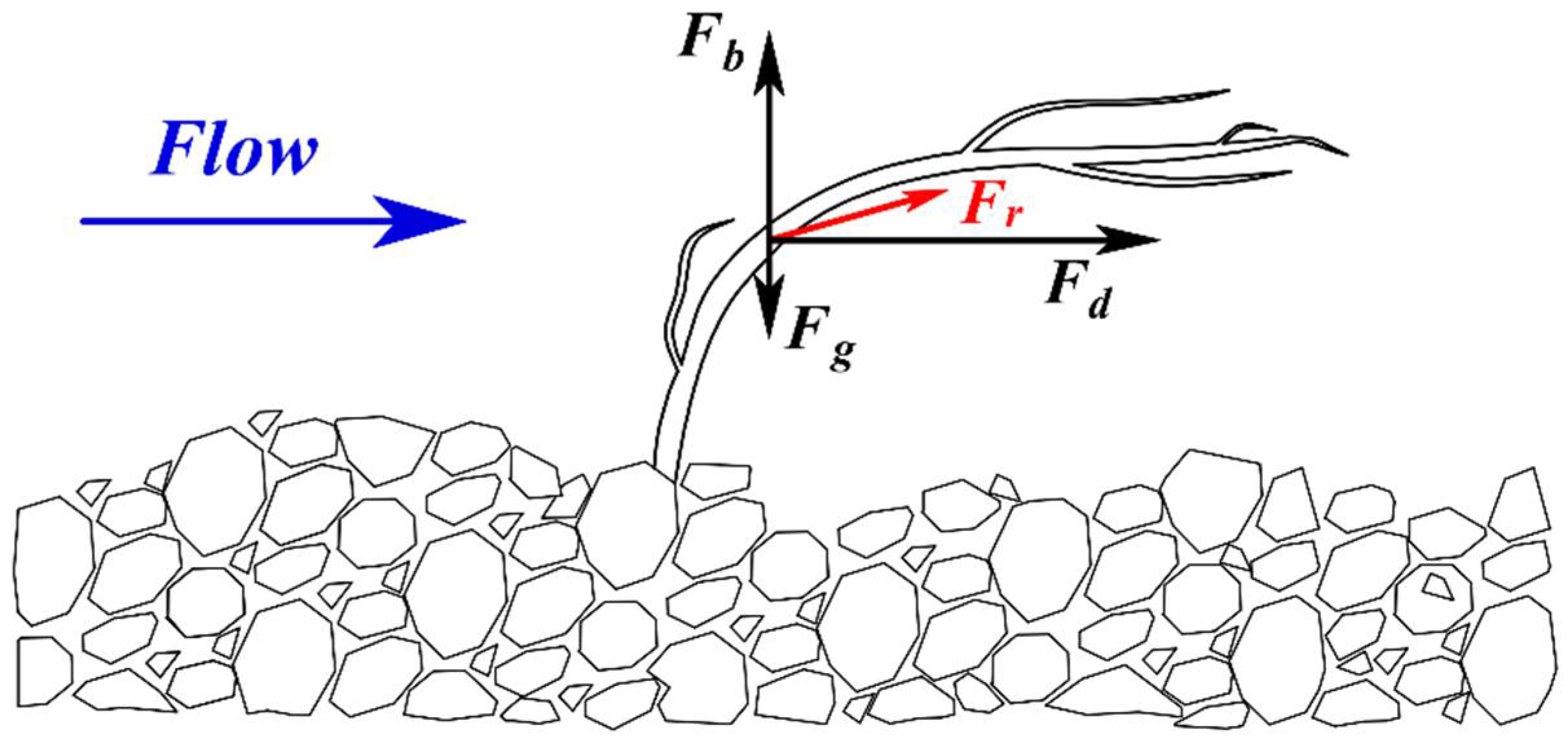 Water 10 00540 g002 550