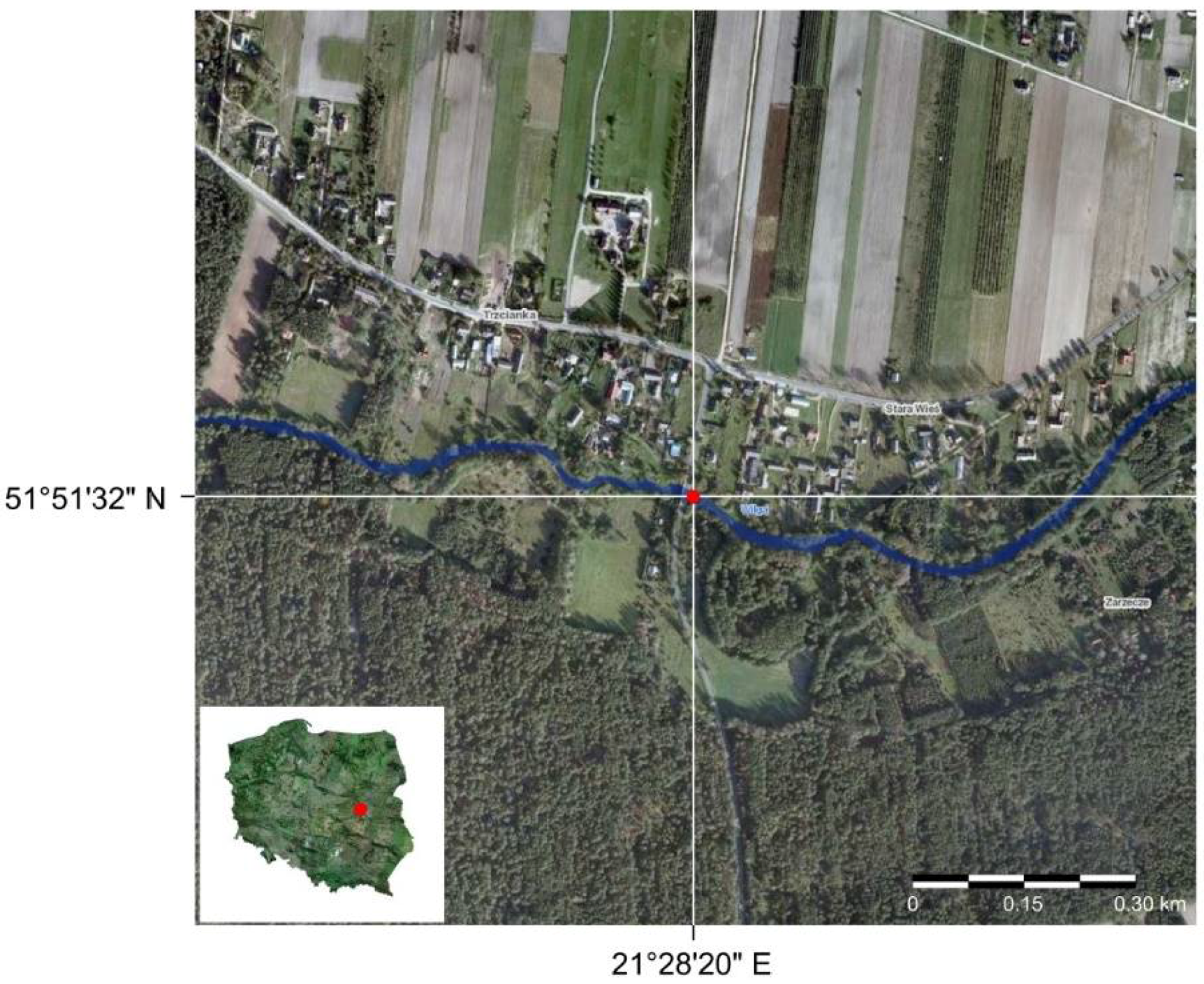 Water 10 00540 g004 550