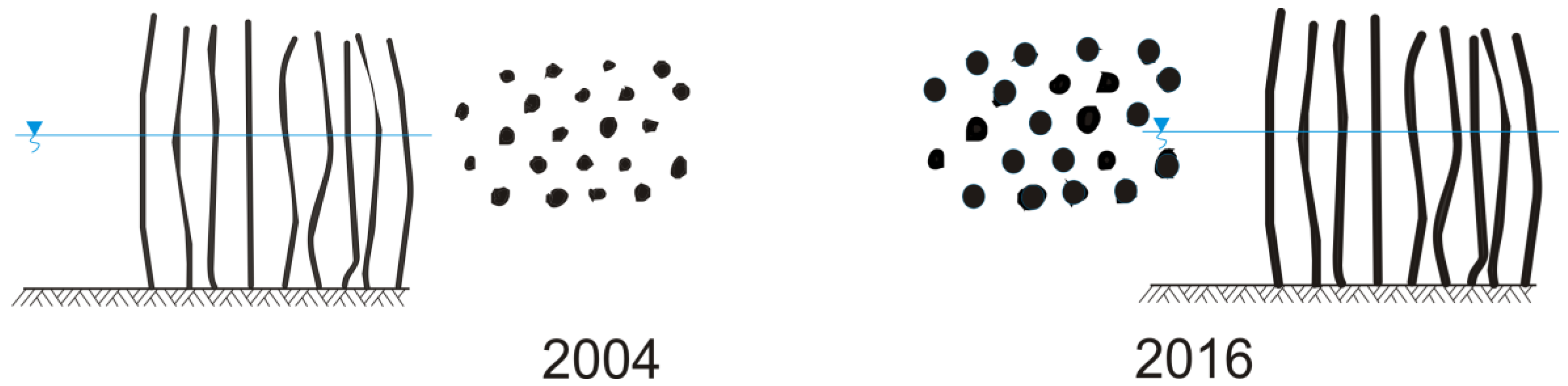 Water 10 00556 g003 Water 10 00556 g003