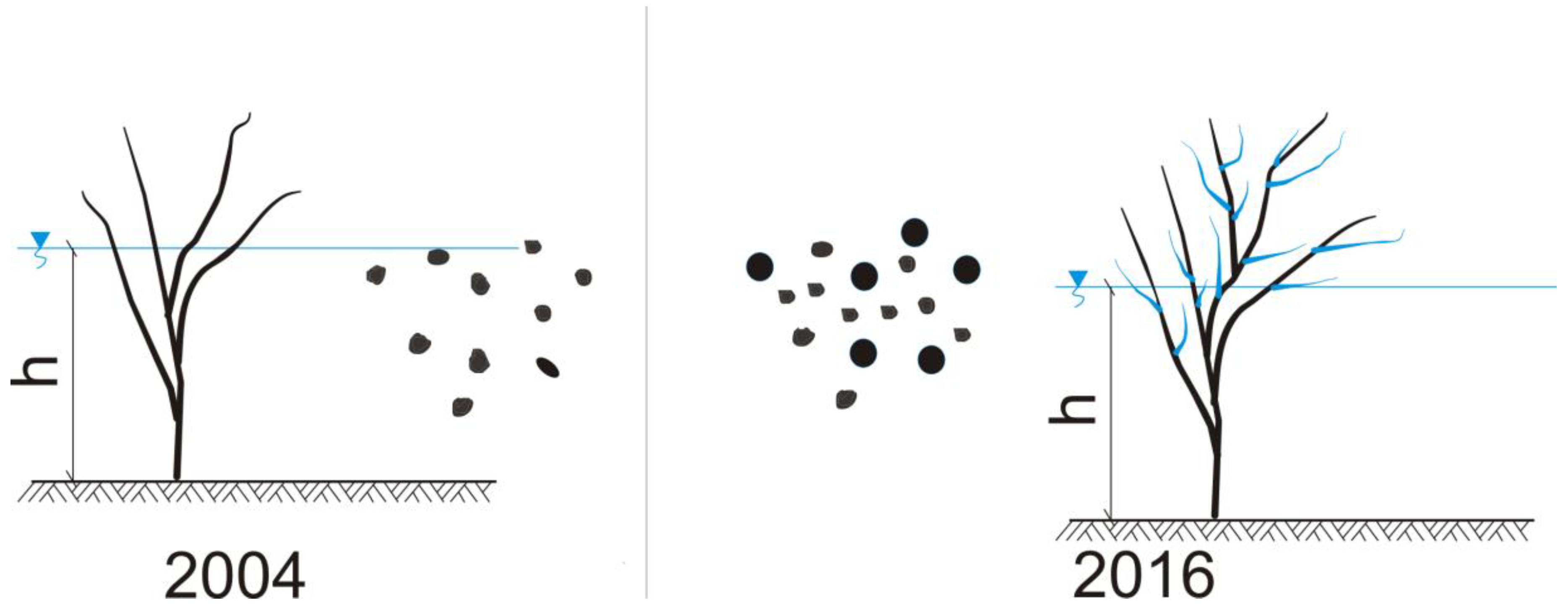 Water 10 00556 g004 Water 10 00556 g004