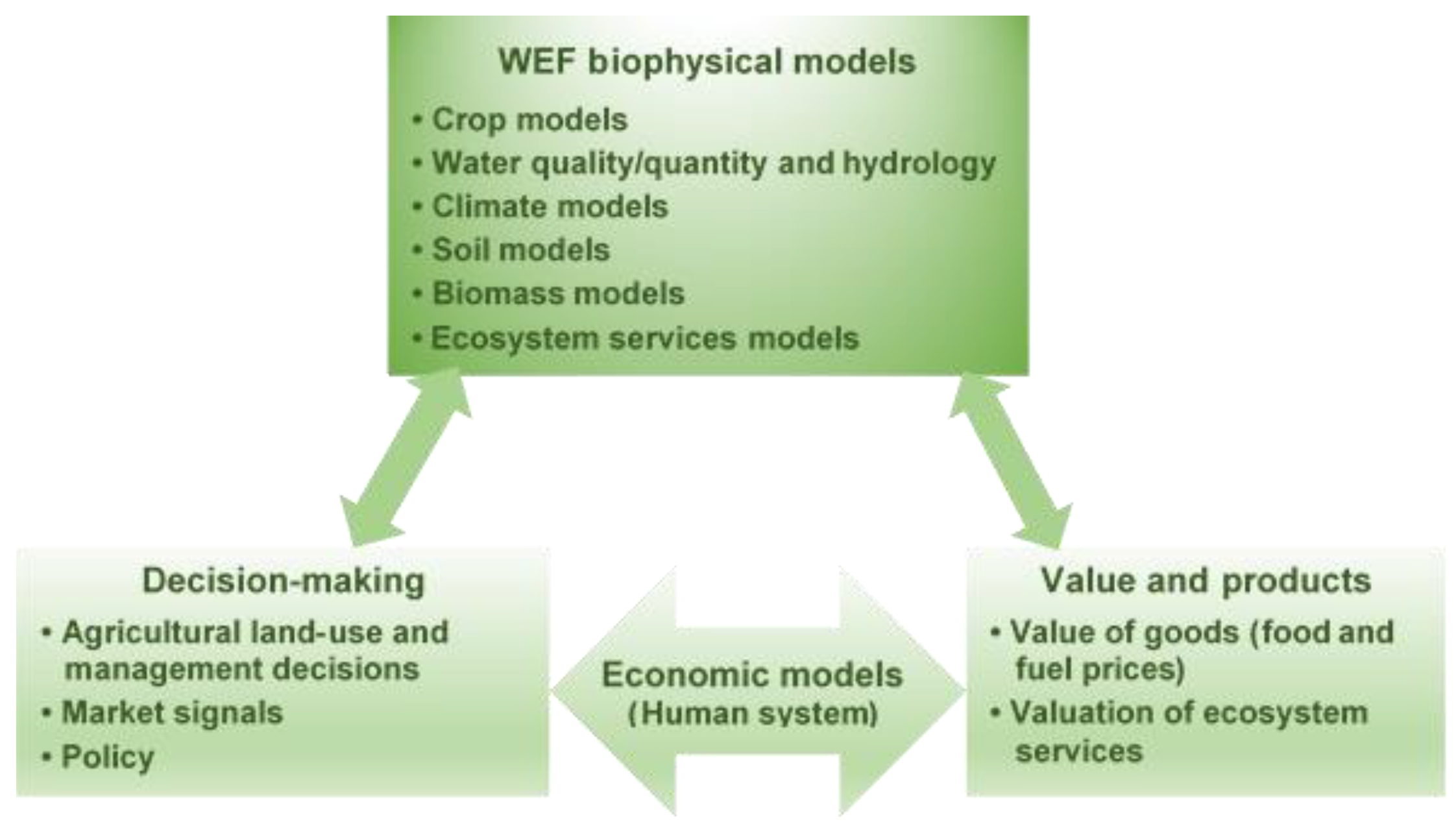 Water 10 00567 g004 Water 10 00567 g004