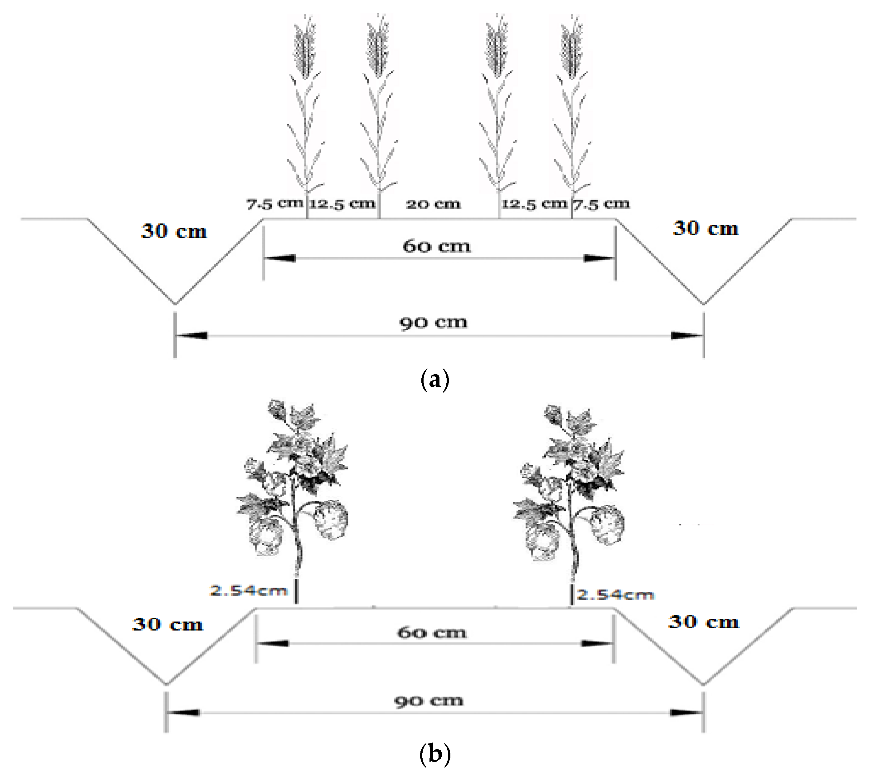 Water 10 00681 g002 550