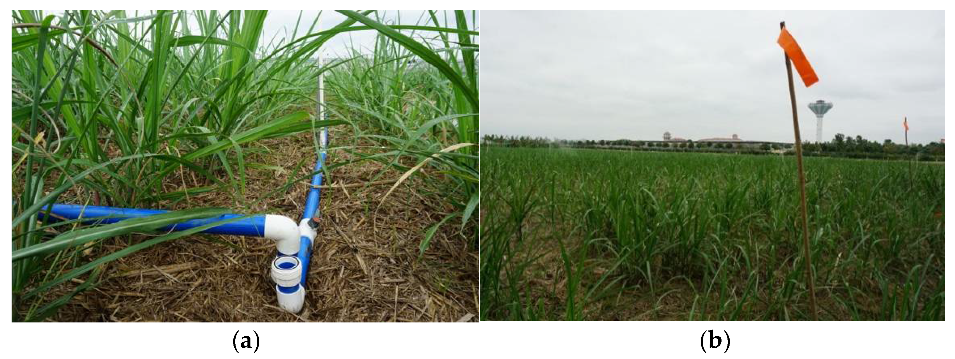 Water 10 00767 g004 Water 10 00767 g004