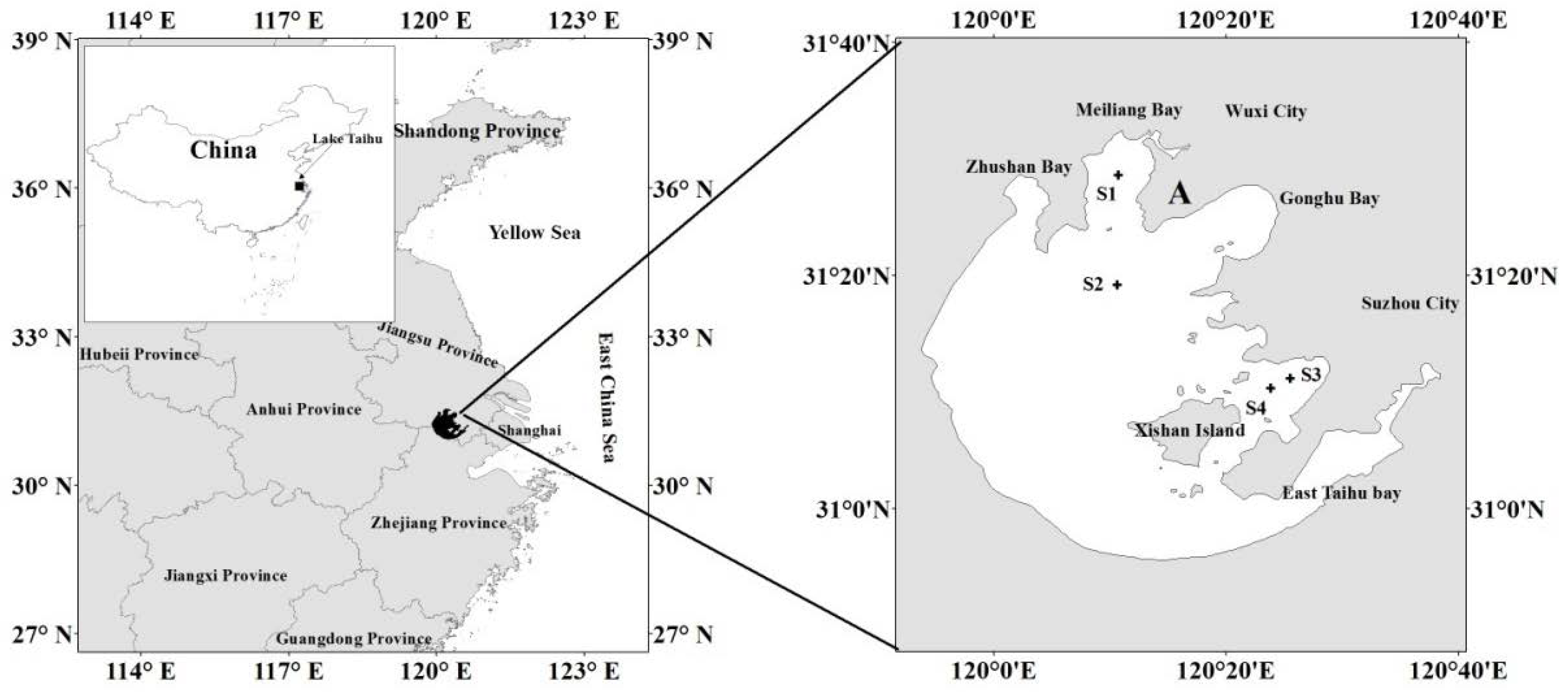 Water 10 00911 g001 Water 10 00911 g001