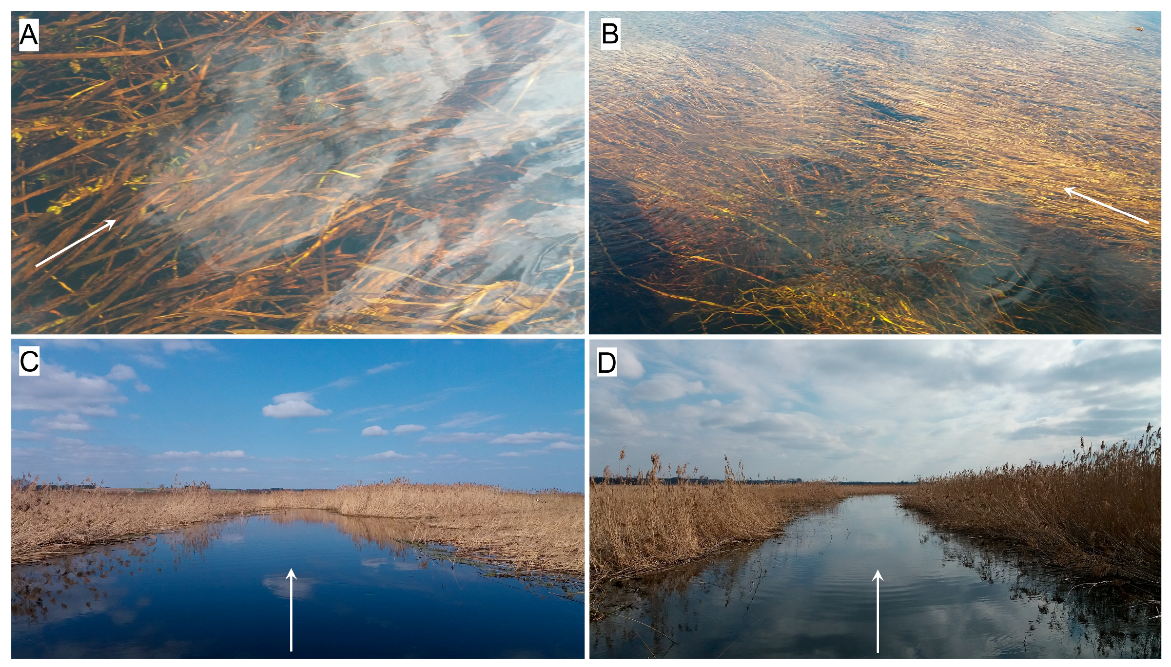 Water 10 00953 g003 Water 10 00953 g003