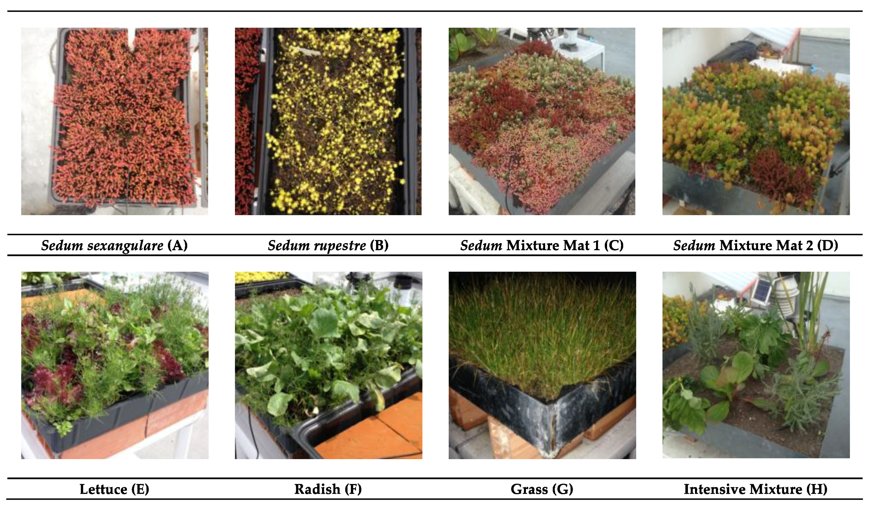 Water 10 00960 g002 Water 10 00960 g002