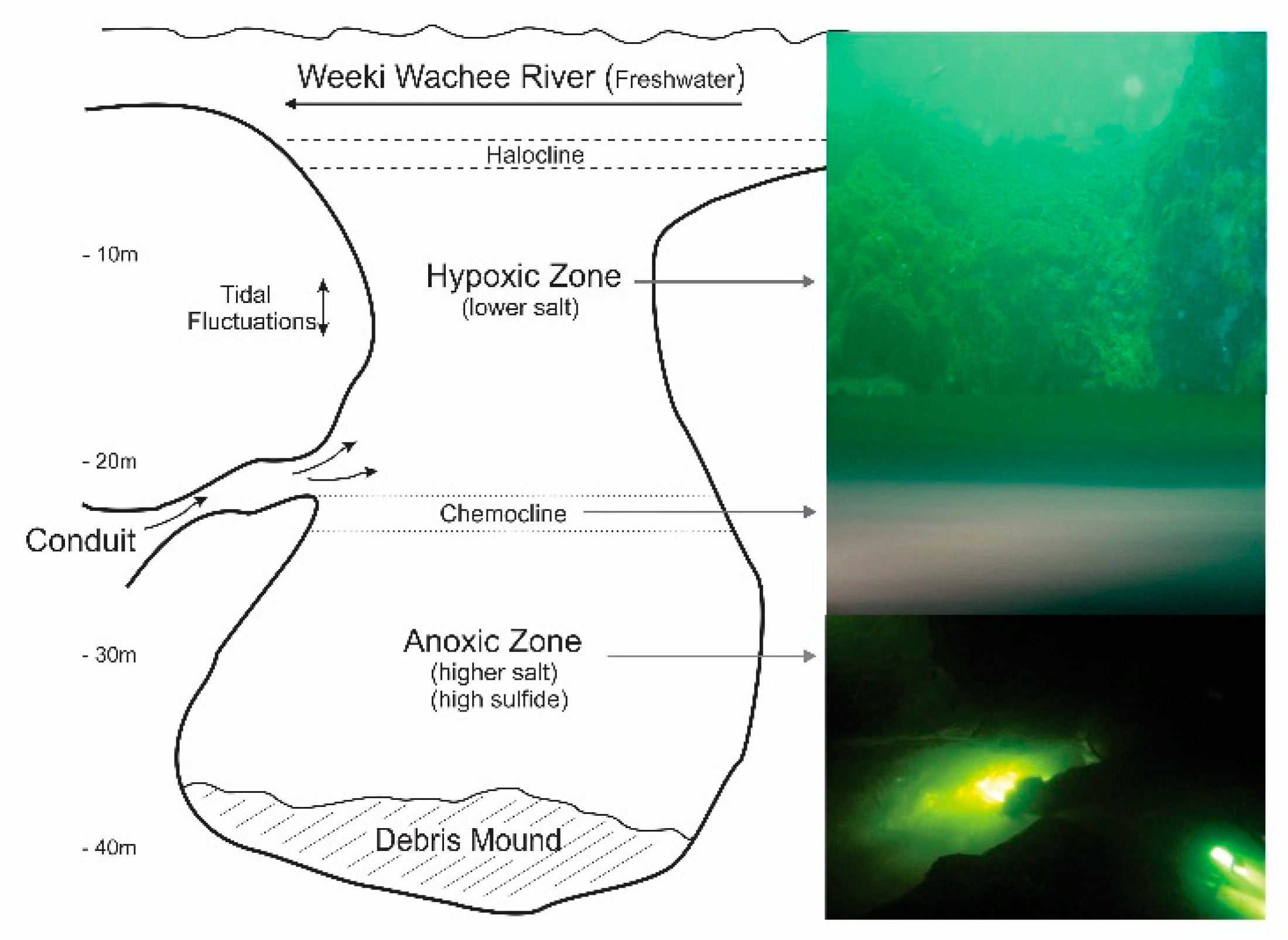 Water 10 00972 g002 Water 10 00972 g002