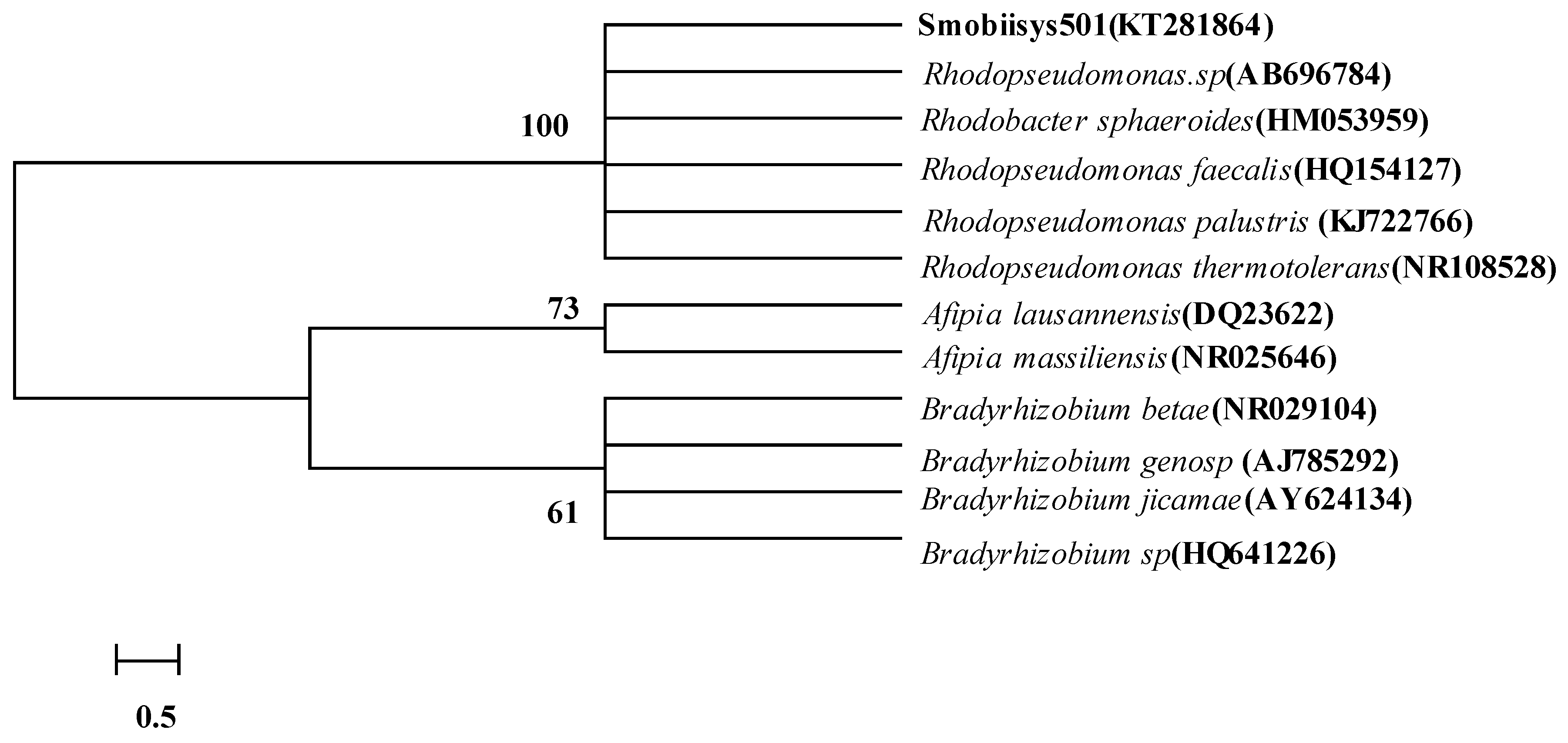 Water 10 01107 g002 Water 10 01107 g002