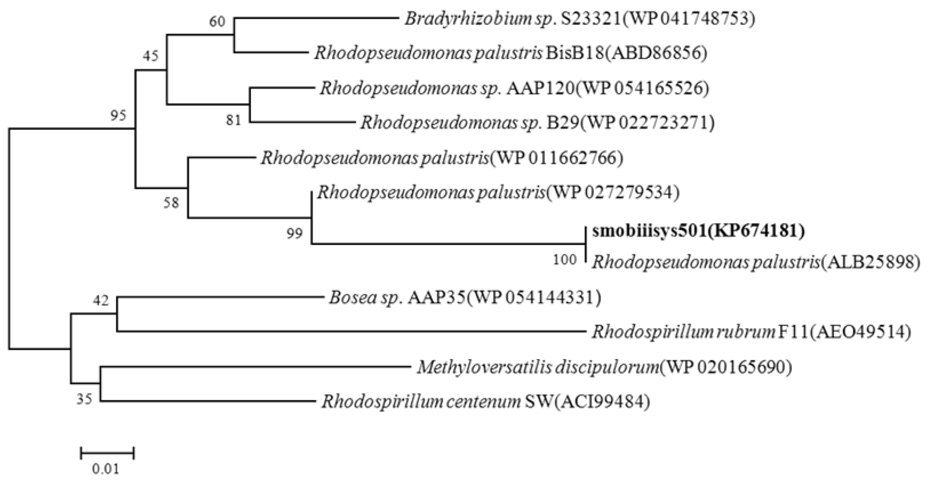 Water 10 01107 g003 Water 10 01107 g003