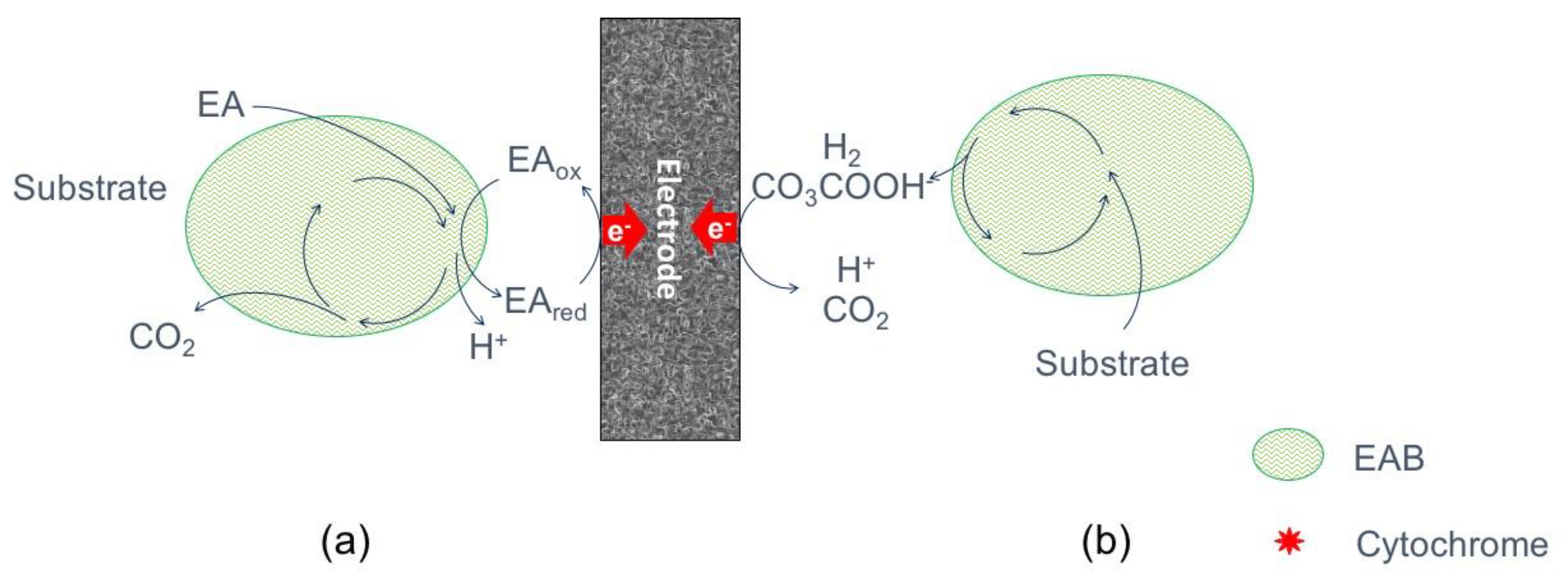 Water Free FullText Microbial Electrochemical Technologies for