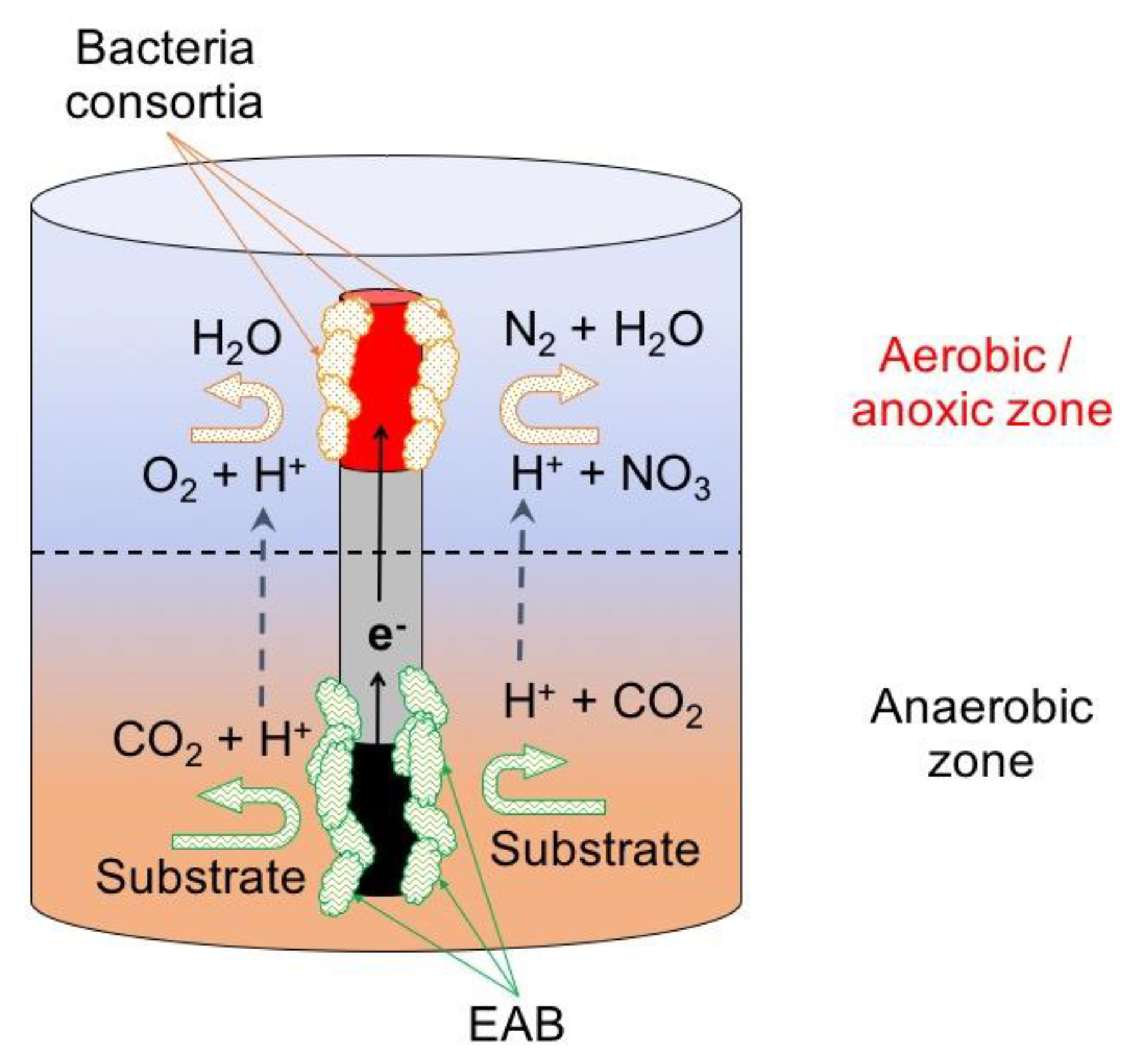 Water 10 01128 g007 Water 10 01128 g007