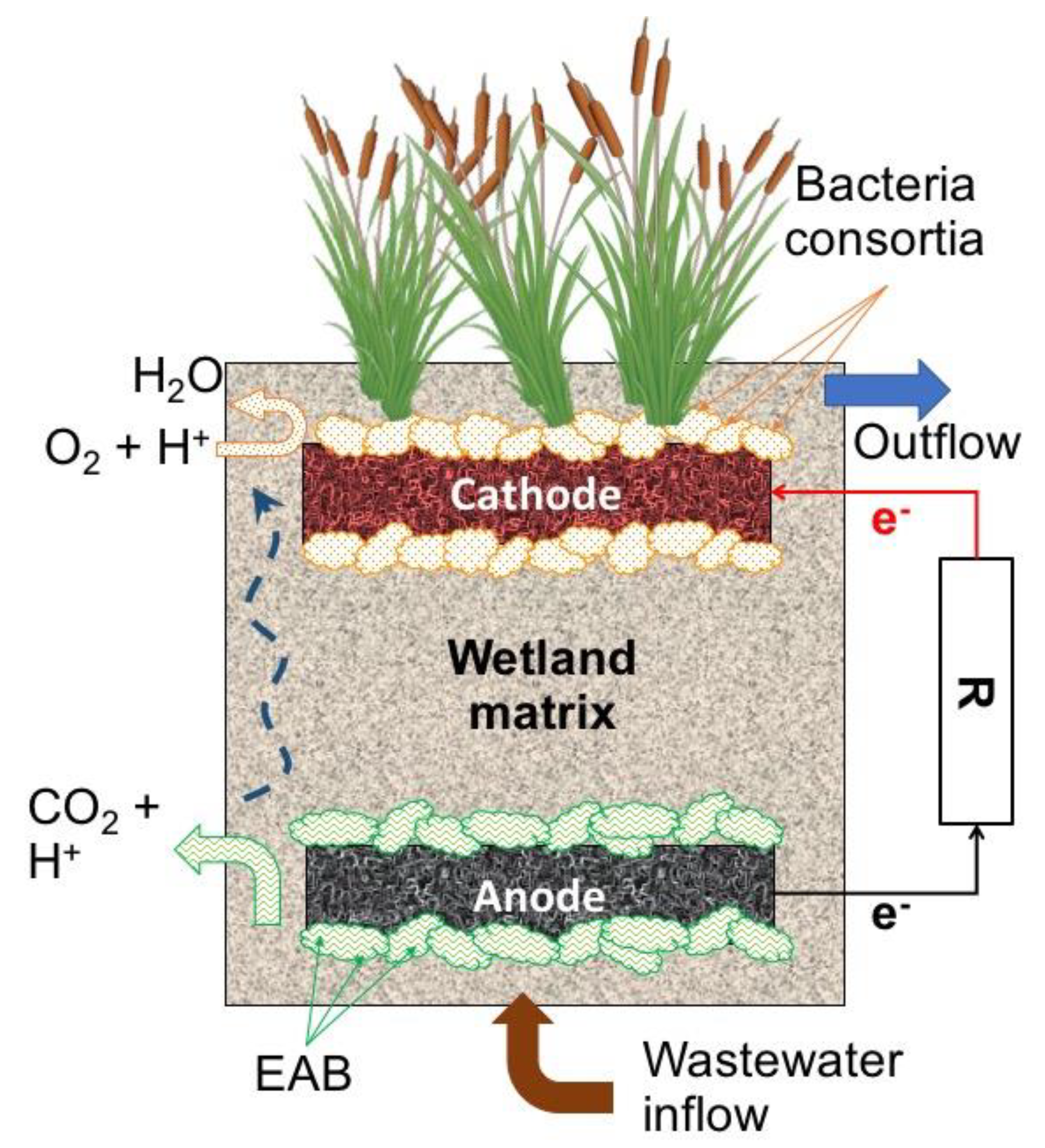 Water 10 01128 g009 Water 10 01128 g009