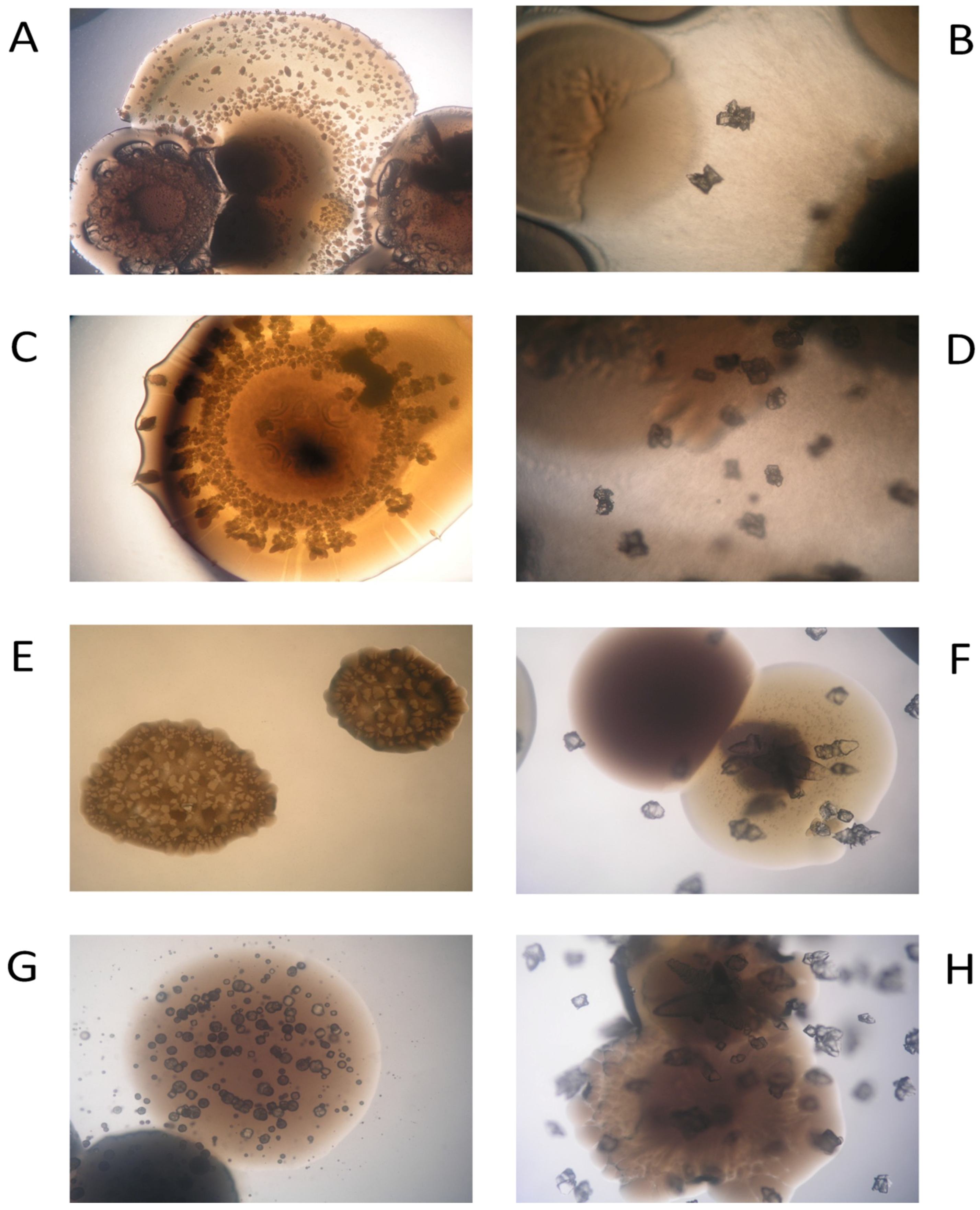 Water 10 01133 g004 Water 10 01133 g004