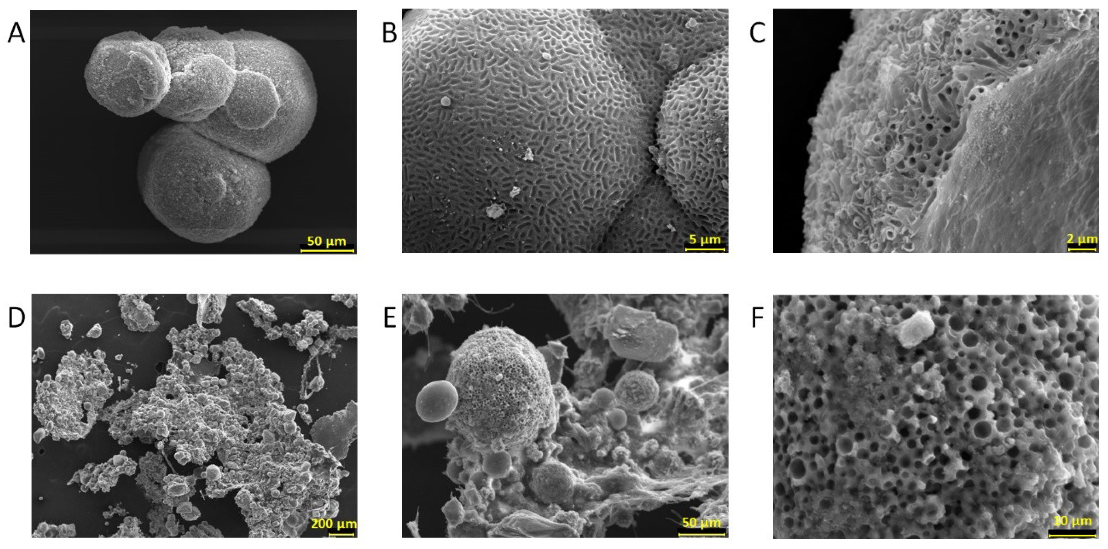 Water 10 01133 g005 Water 10 01133 g005