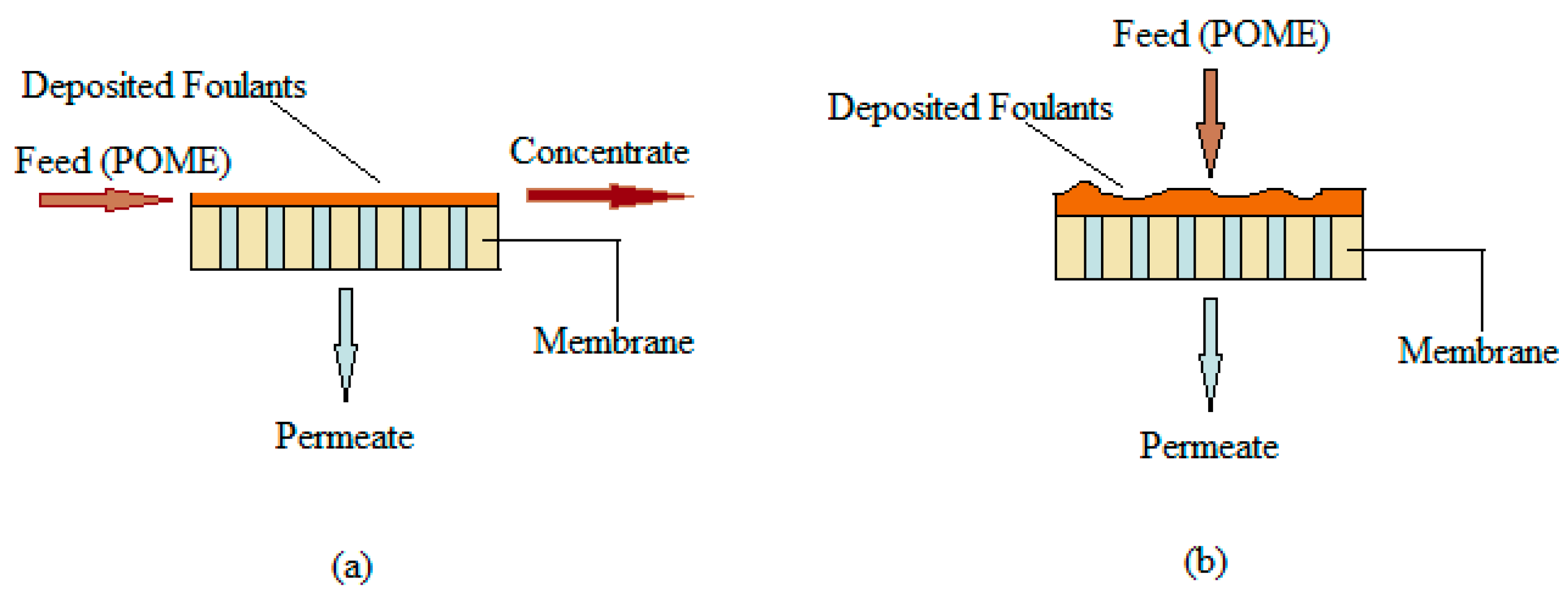 Water 10 01165 g002 Water 10 01165 g002