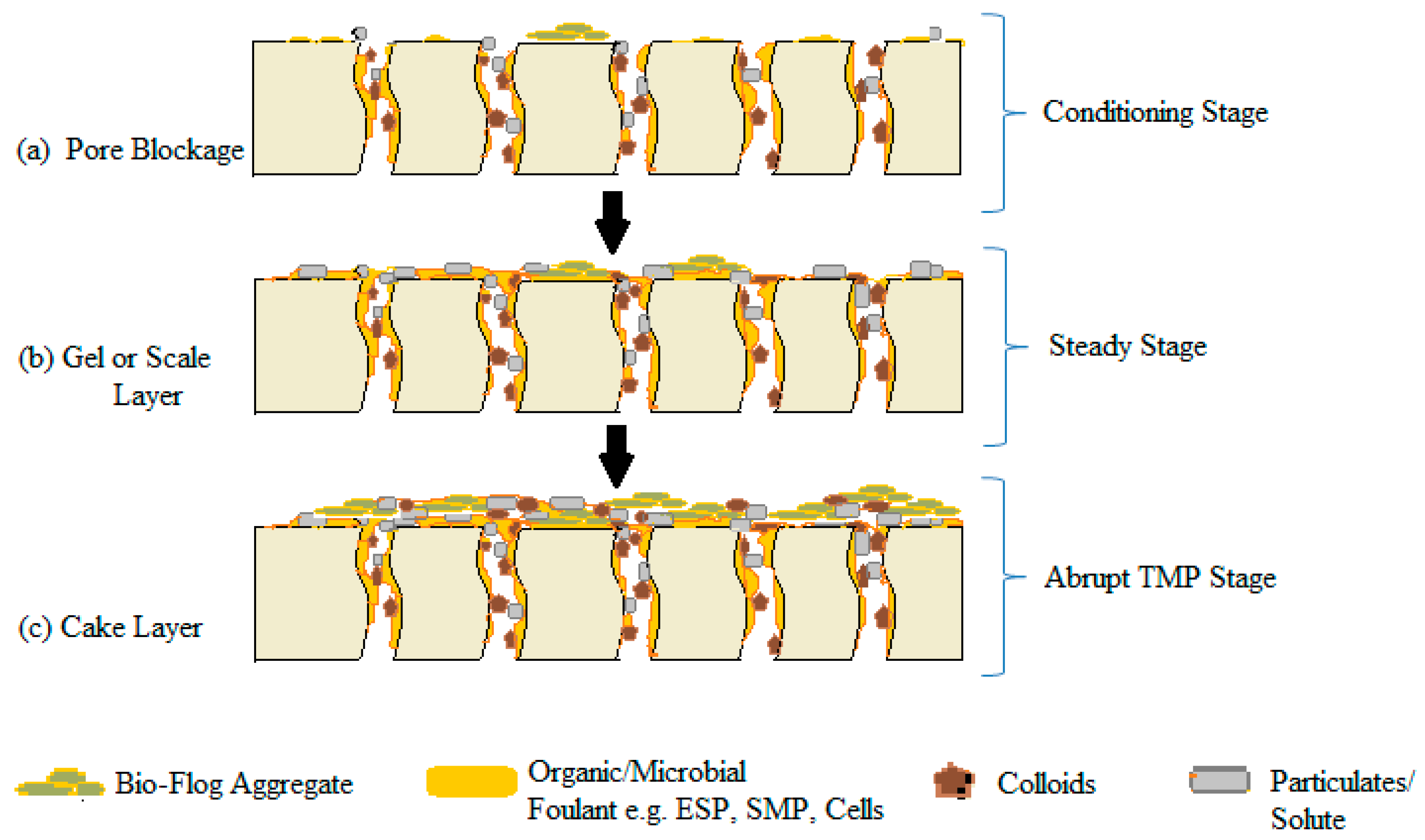 Water 10 01165 g008 Water 10 01165 g008