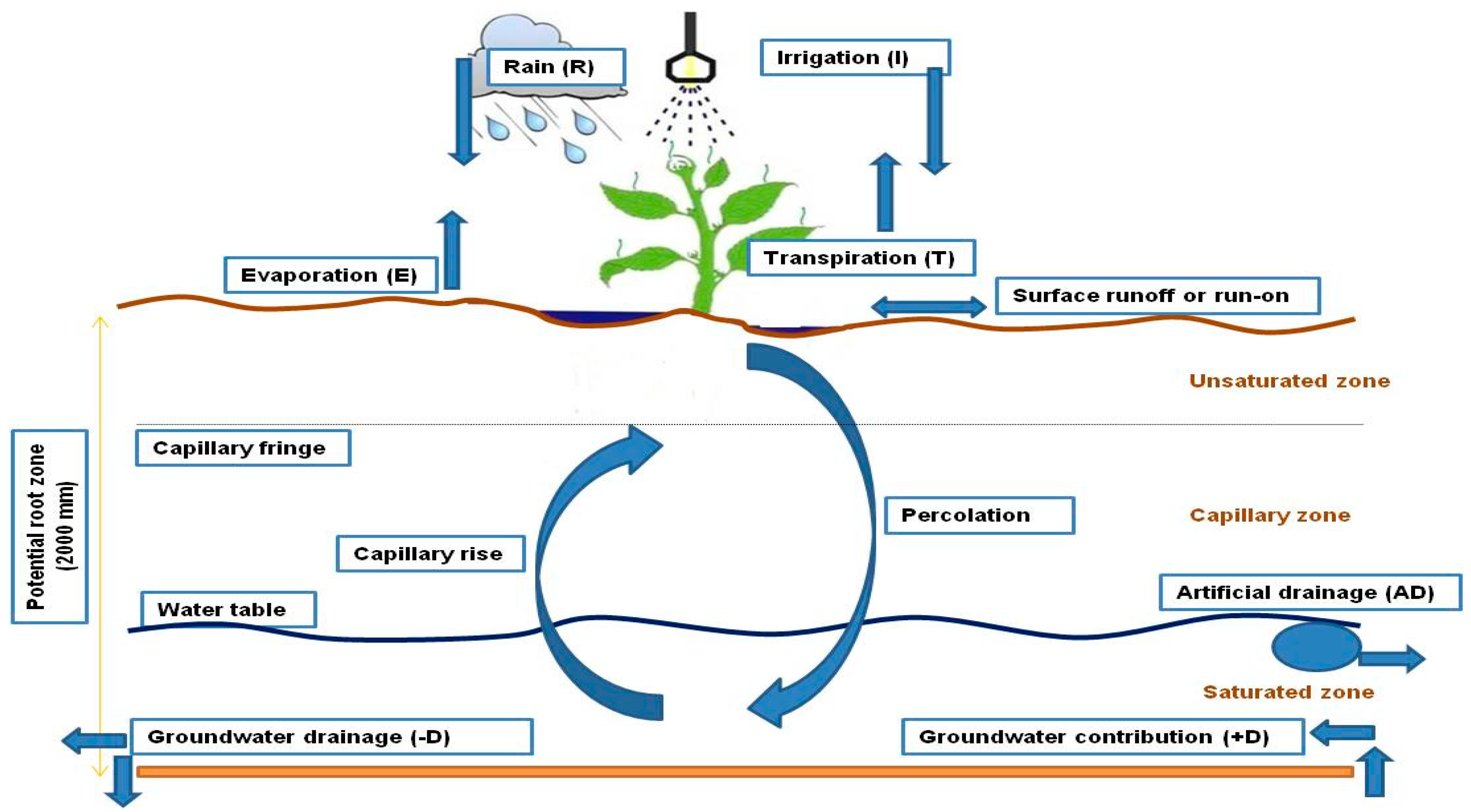 Water 10 01167 g001 550