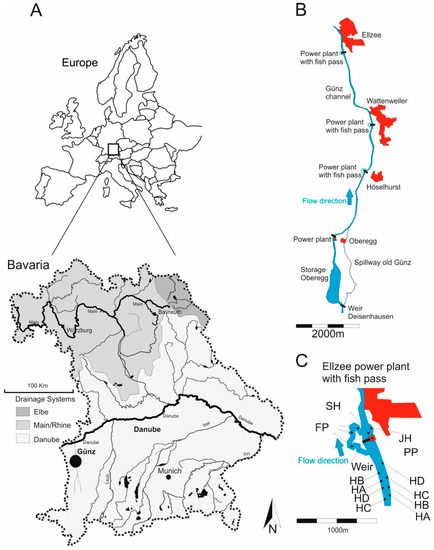 The Contribution of Different Restored Habitats to Fish Diversity and ...