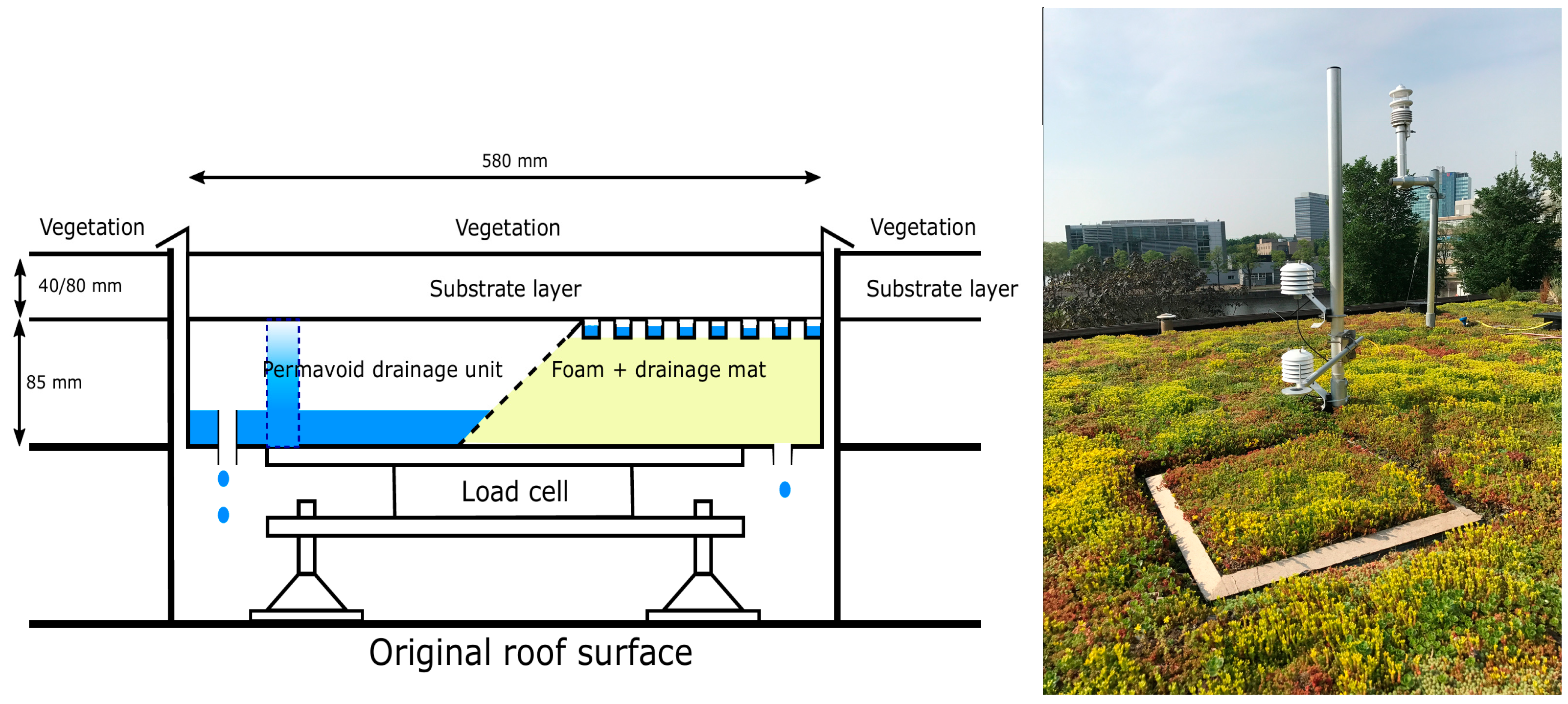 Water Free Full Text Evaporation From Blue Green Roofs Assessing The Benefits Of A Storage And Capillary Irrigation System Based On Measurements And Modeling Html