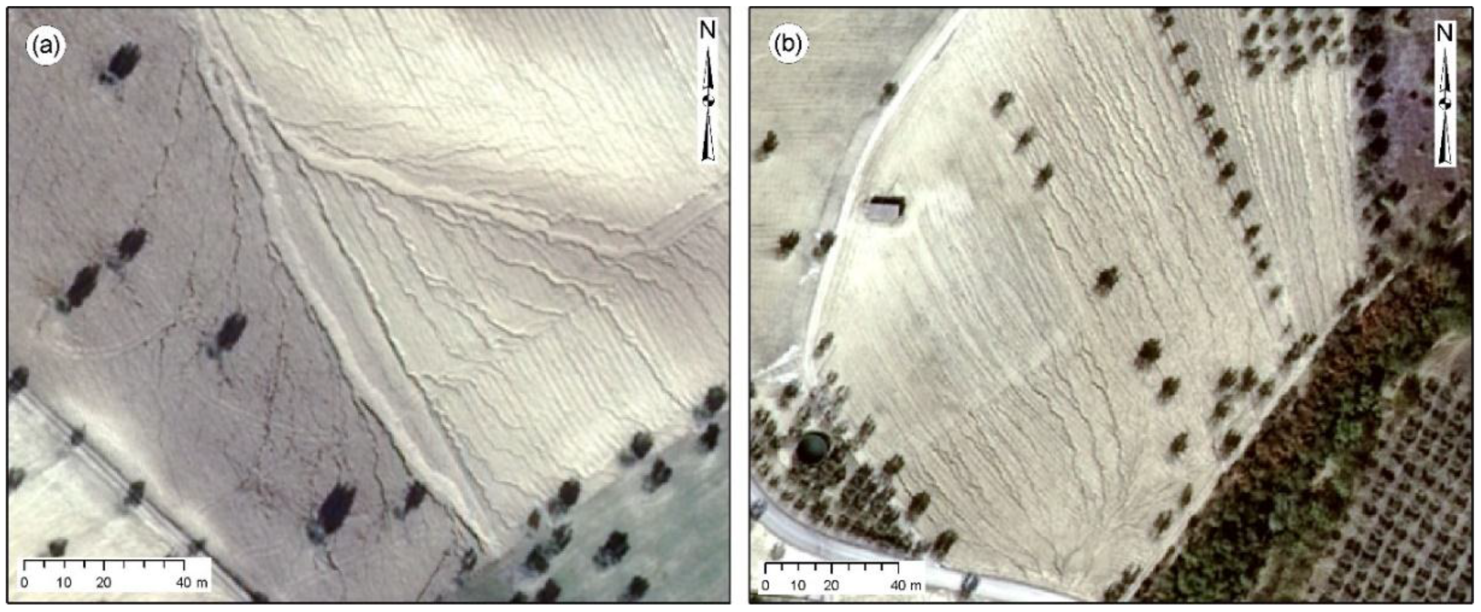 Water 10 01314 g009 Water 10 01314 g009