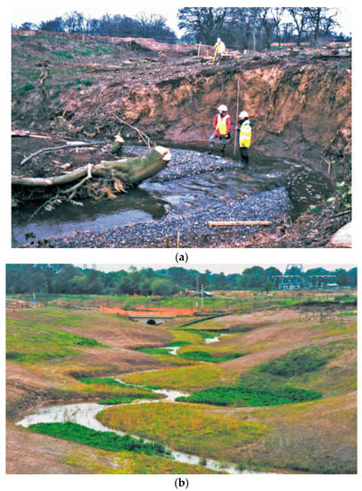 River Channel Relocation: Problems and Prospects