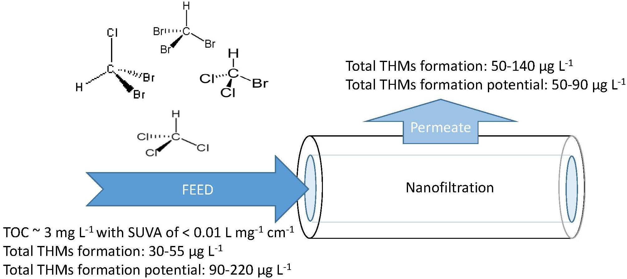 Water Free FullText Removal of Trihalomethane Precursors by
